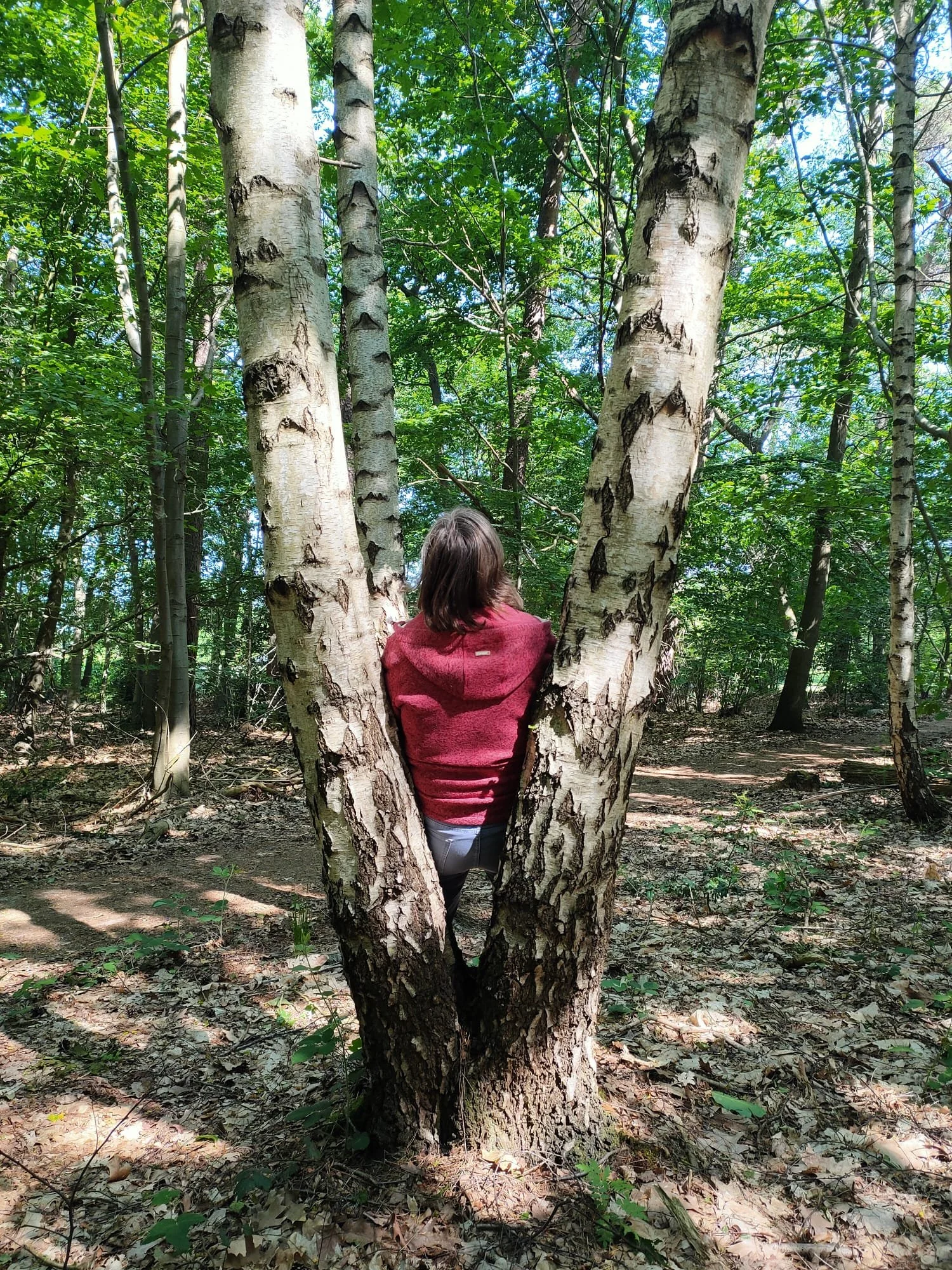 Vrouw die met haar rug naar de camera zit in het bos, omgeven door groene bomen en struiken, terwijl ze tussen twee bomen zit.