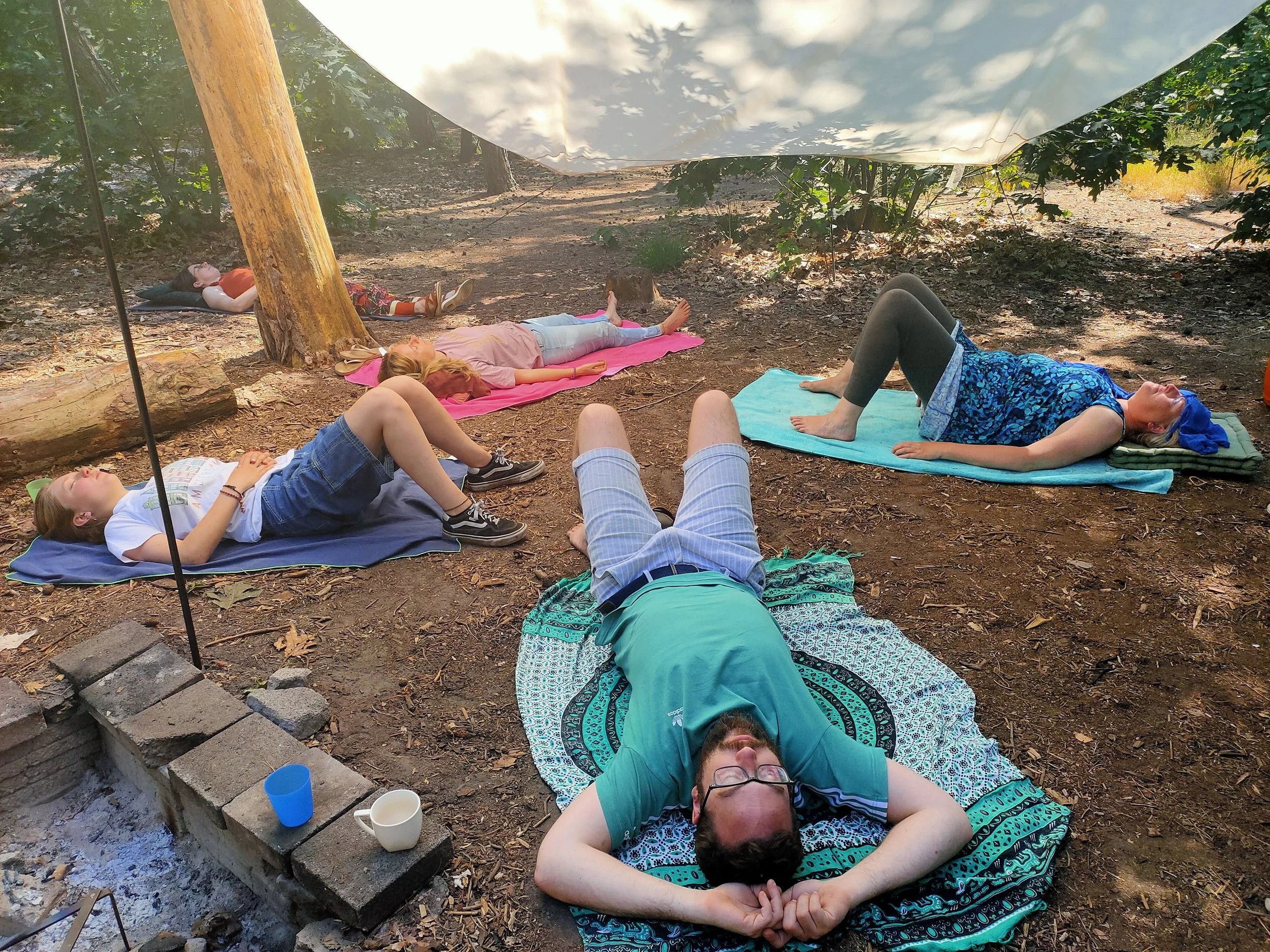 Vijf mensen liggen ontspannen op matjes in het privébos voor een meditatiesessie.