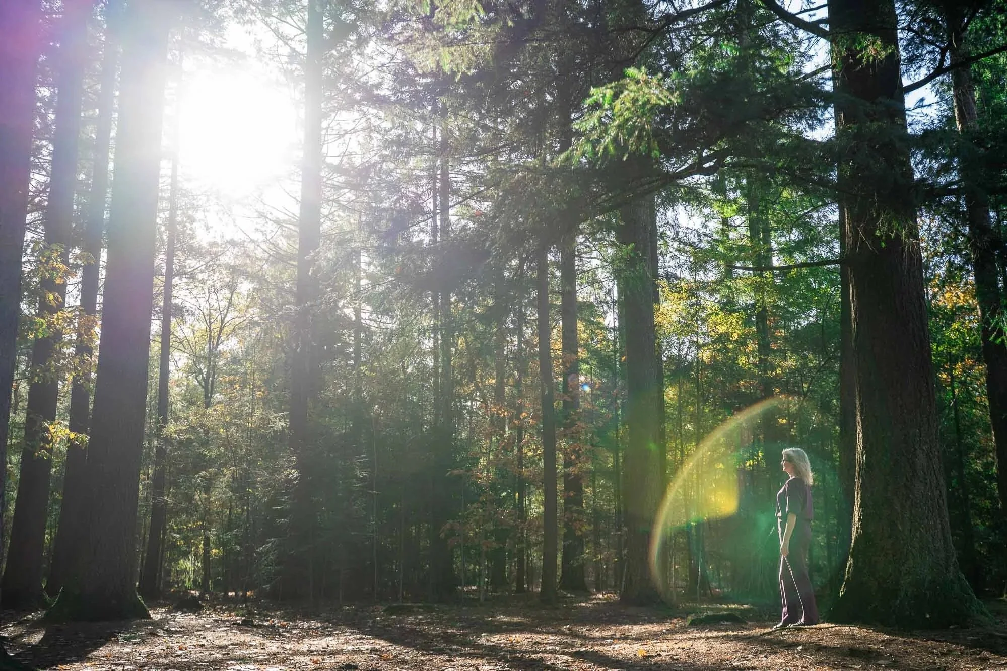 Marieke natuurcoach straalt in het bos tijdens All-in transformatiereis ‘Stralen vanuit jouw essentie’