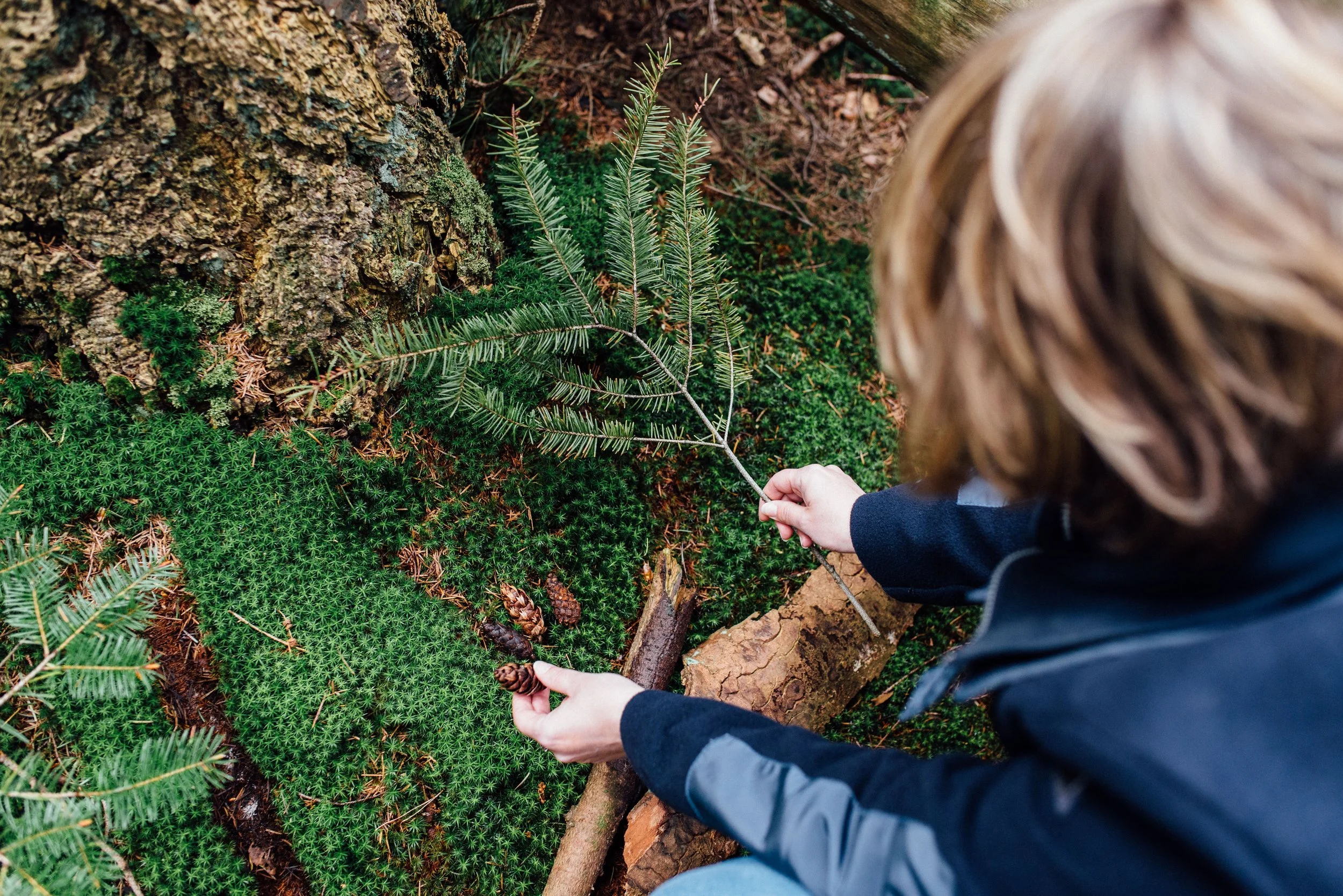 Deelnemer maakt beeld familieopstelling in een bos, omgeven door groene varens en mos, met bomen en boomstammen op de achtergrond.