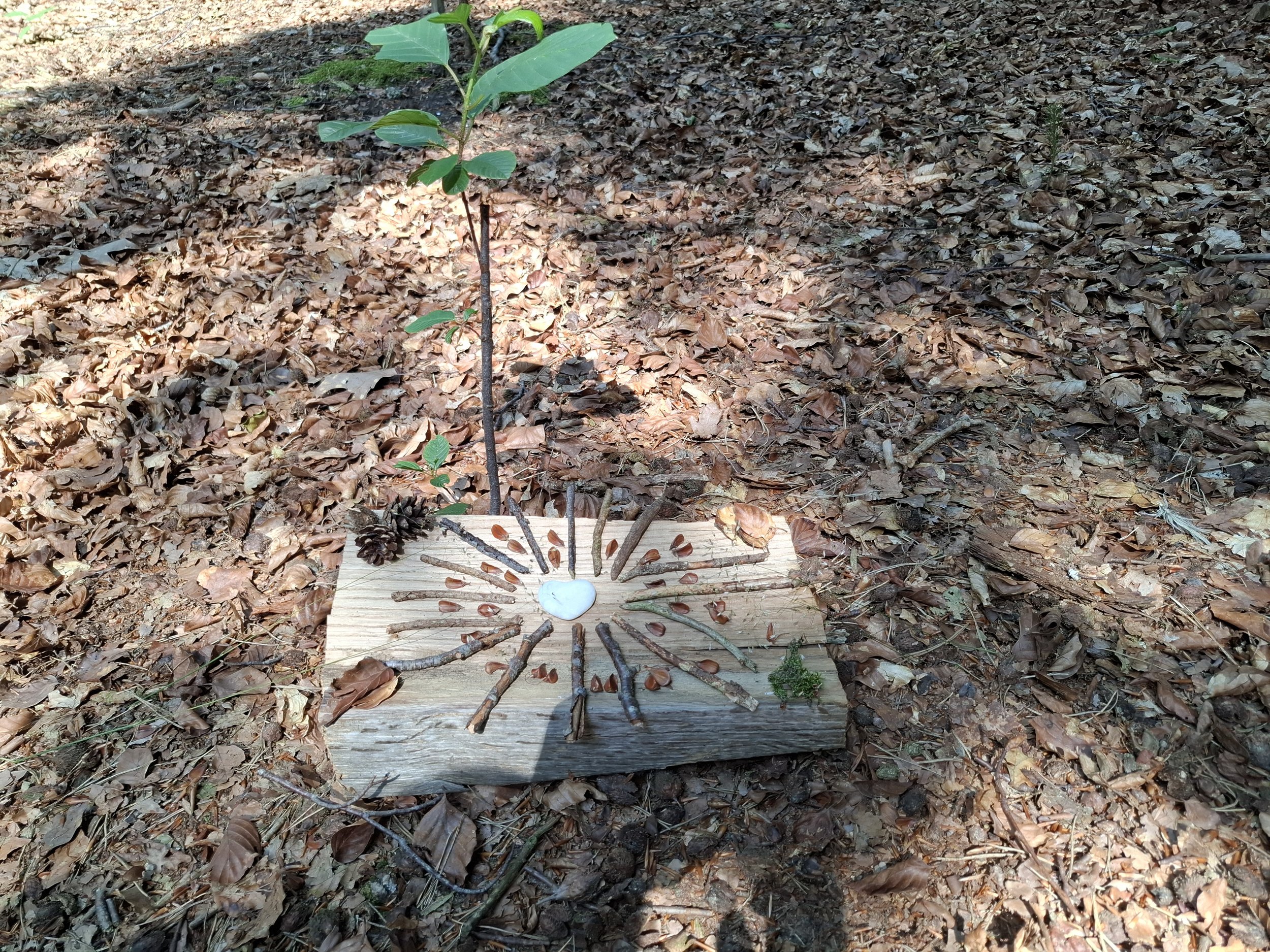 Kunstwerk gemaakt van takken en stenen op een houten blok, gelegen op de bosgrond met dode bladeren.
