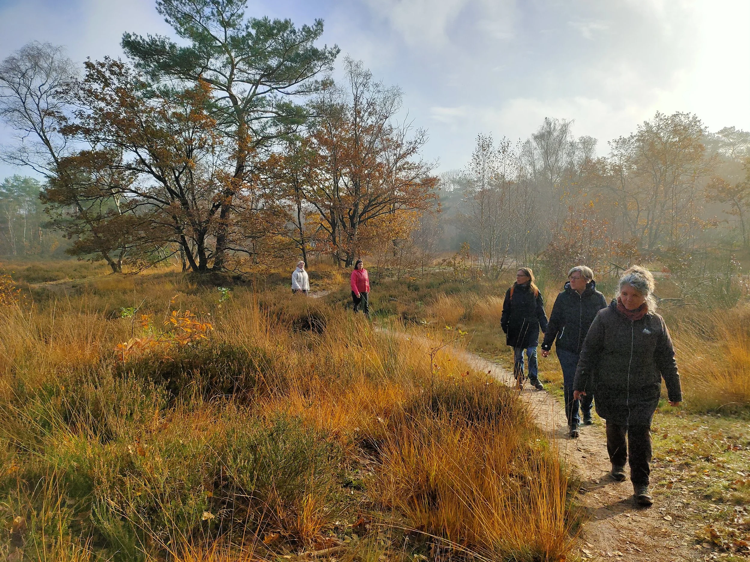 Vijf mensen wandelen op een pad in een bos met herfstkleuren, omgeven door bomen en gras in de herfst.