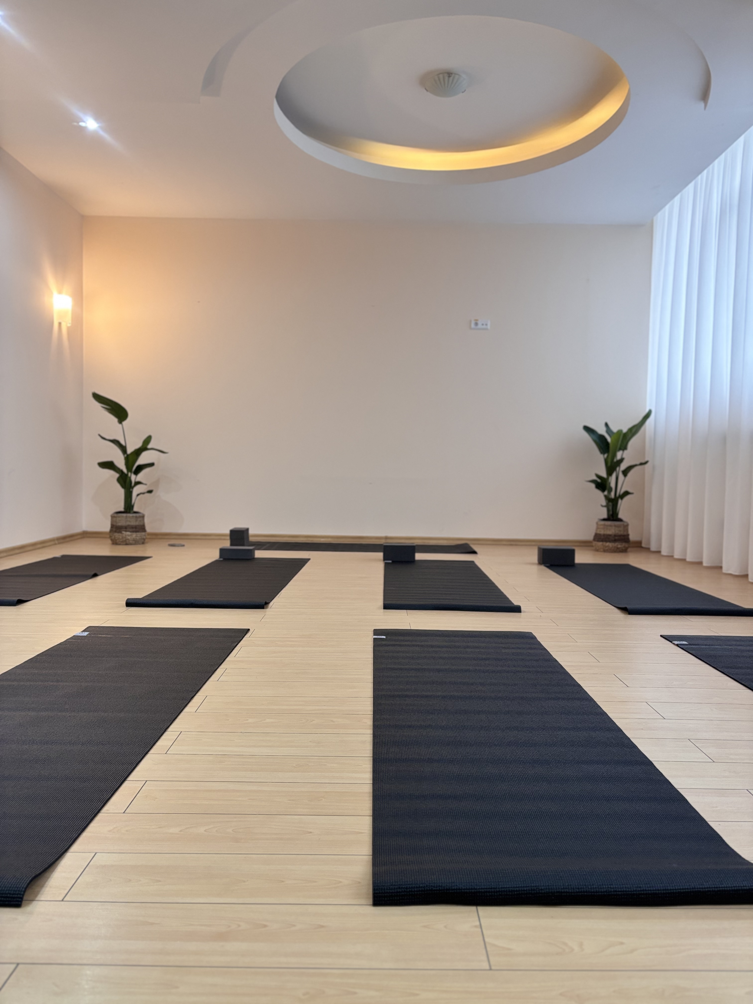 Yoga in Chisinau Vinyasa Yoga, scoala de yoga in centru Chisinau