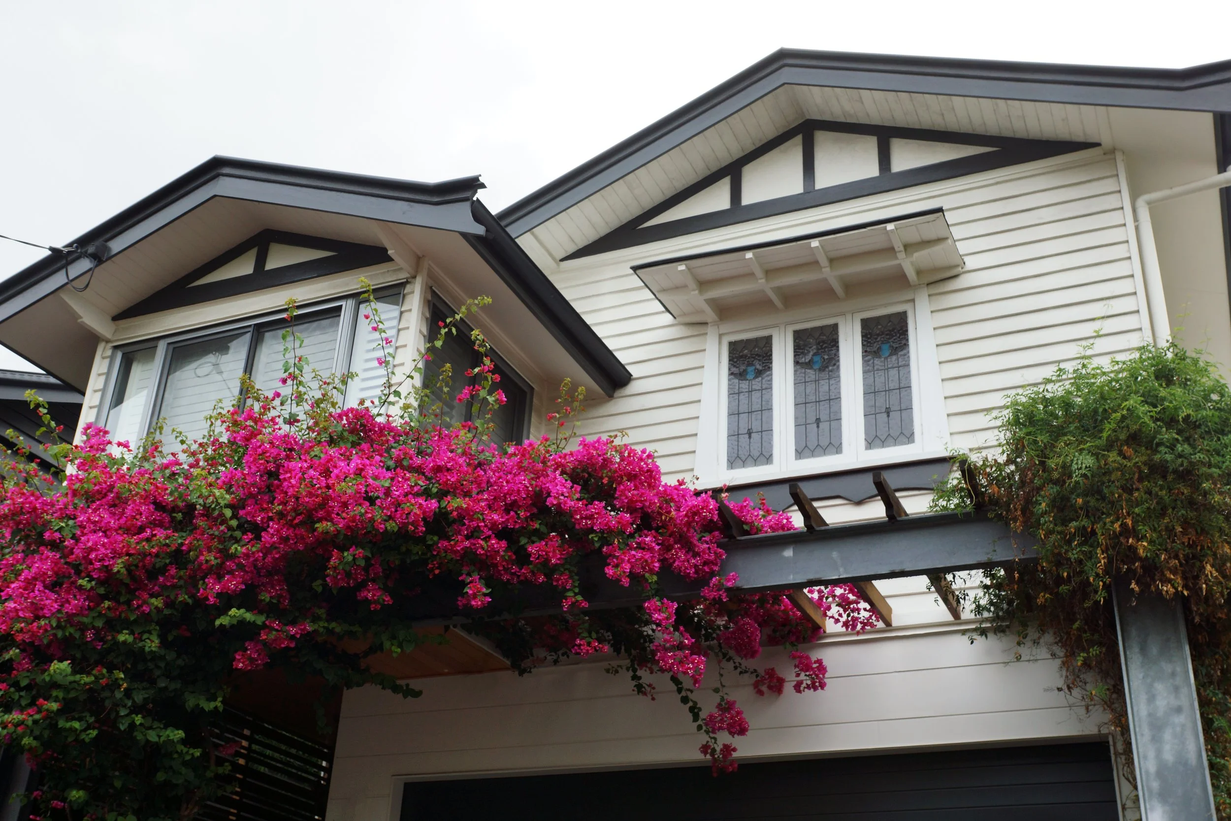 A two-story house with white siding, black trim, and stained glass windows, featuring bright pink flowering bushes in front.