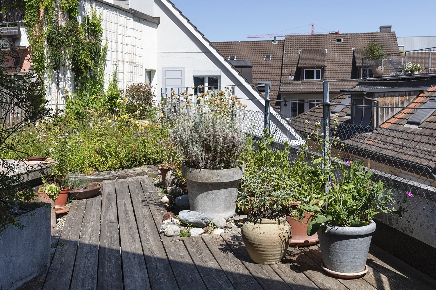 Dachgarten.webp