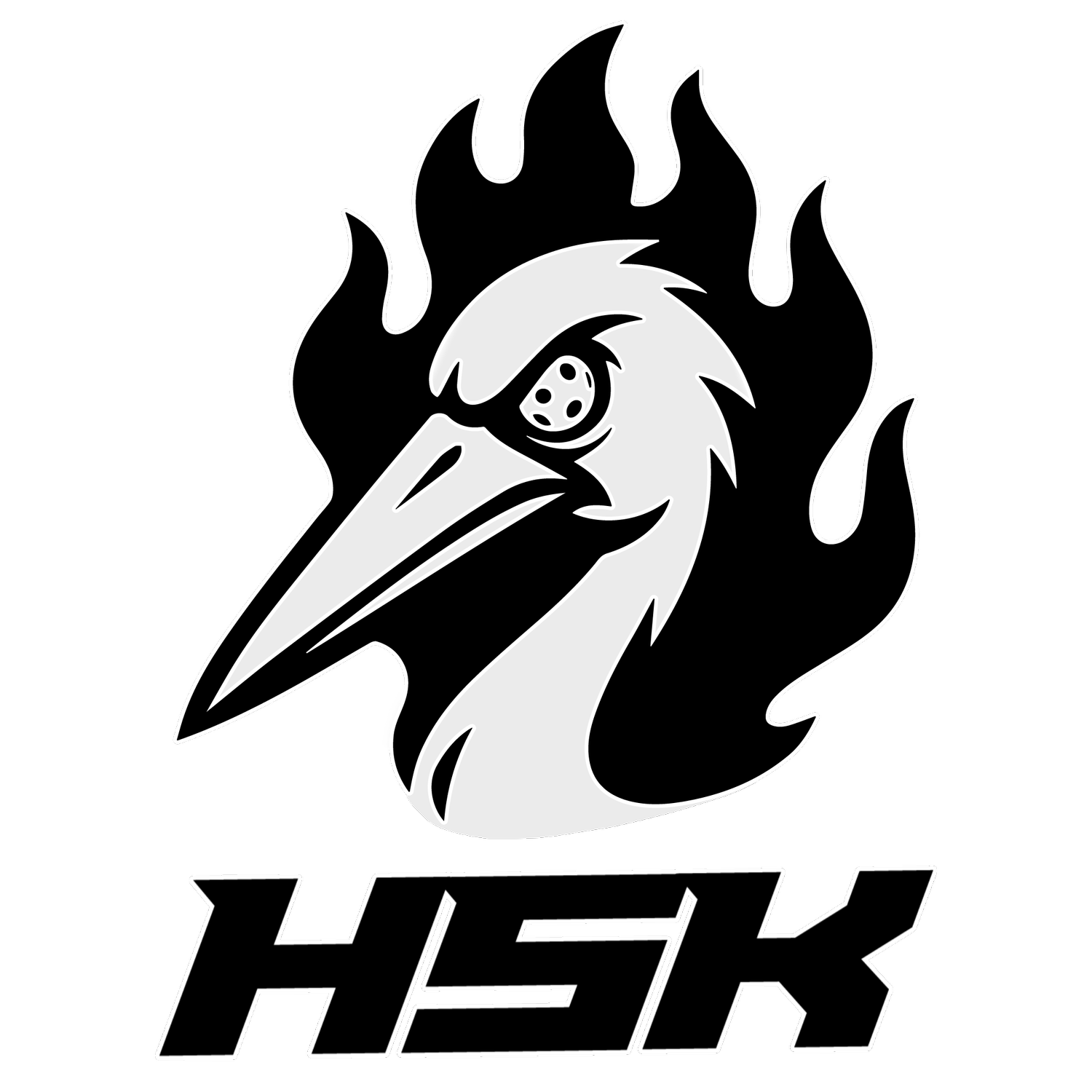 HSK Floorball