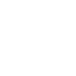 Outline illustration of a school building with a flag on top and a central circular window.
