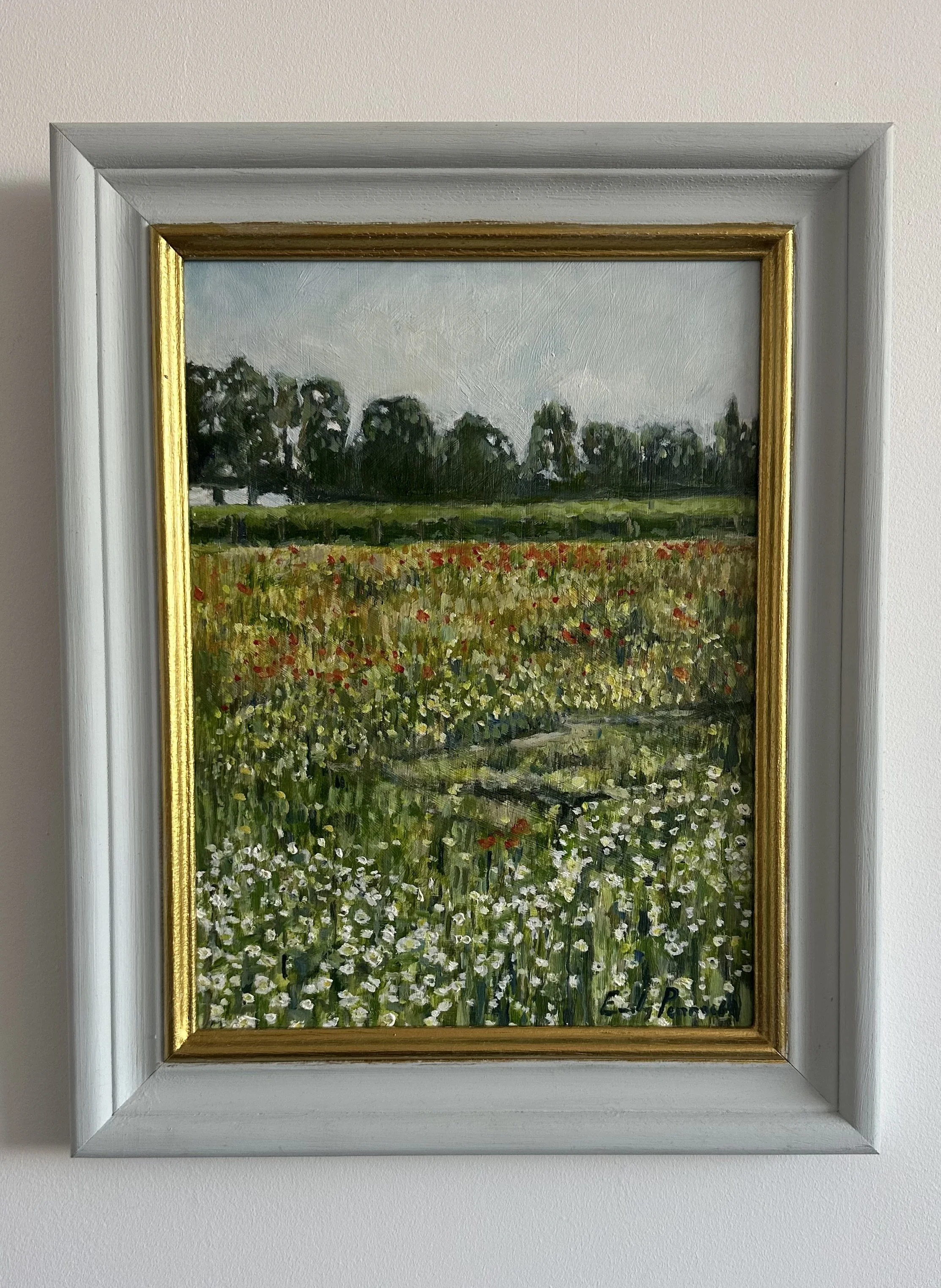 Poppy Field, Oil on Panel, 33x39cm, £580
