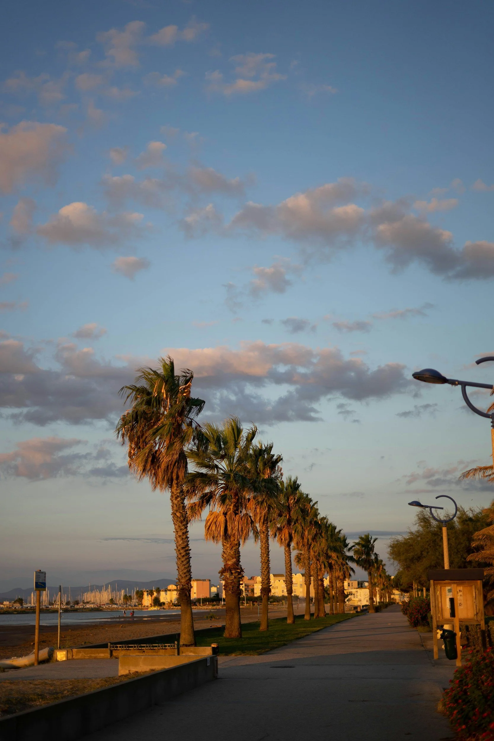Rues piétonnes à Narbonne Plage bordées de palmiers au coucher du soleil, avec lampadaires et bâtiments en arrière-plan, à côté de la plage et de l'eau.