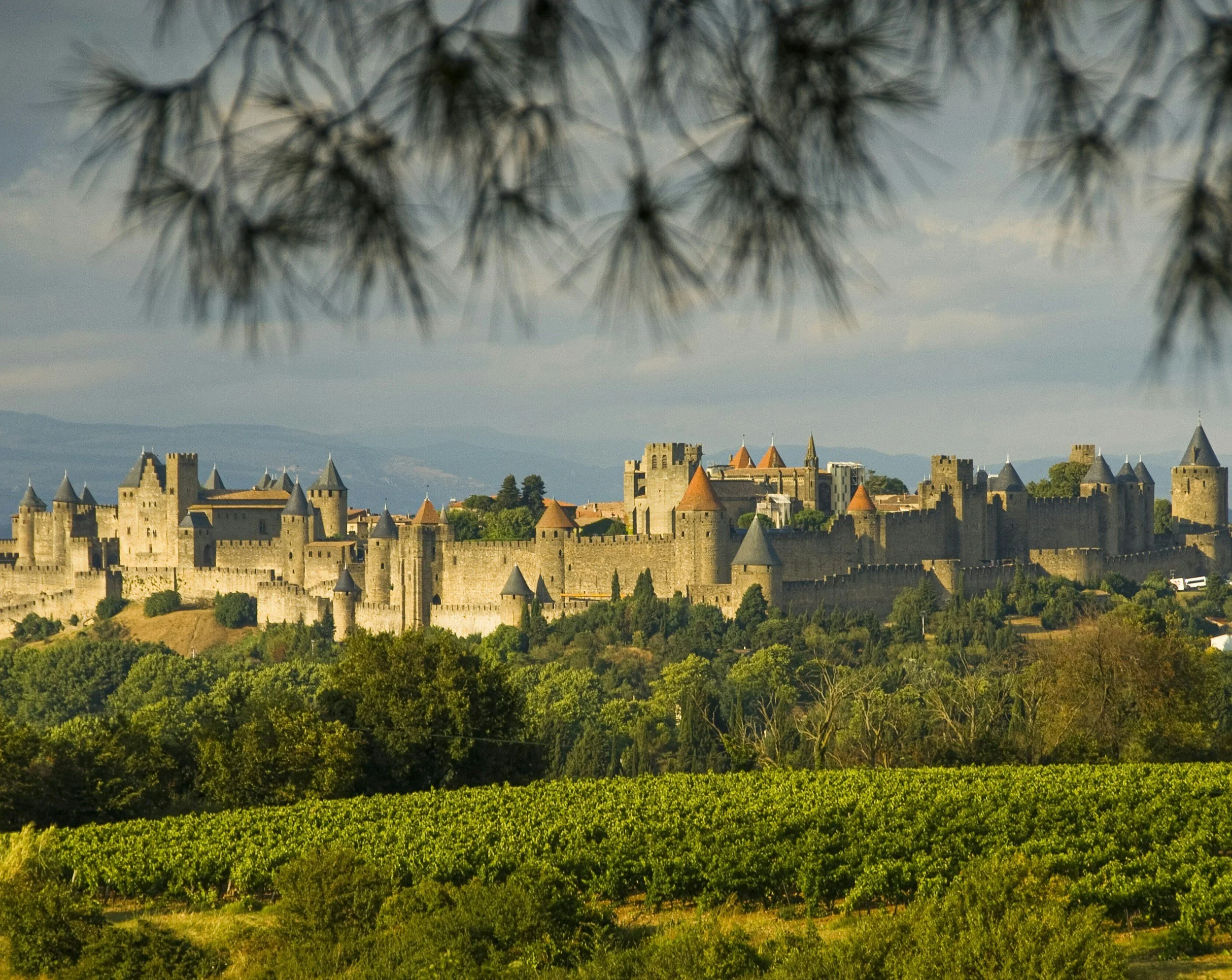 La cité de Carcassonne avec des tours et des remparts, entouré de verdure et de vignes, sous un ciel nuageux.
