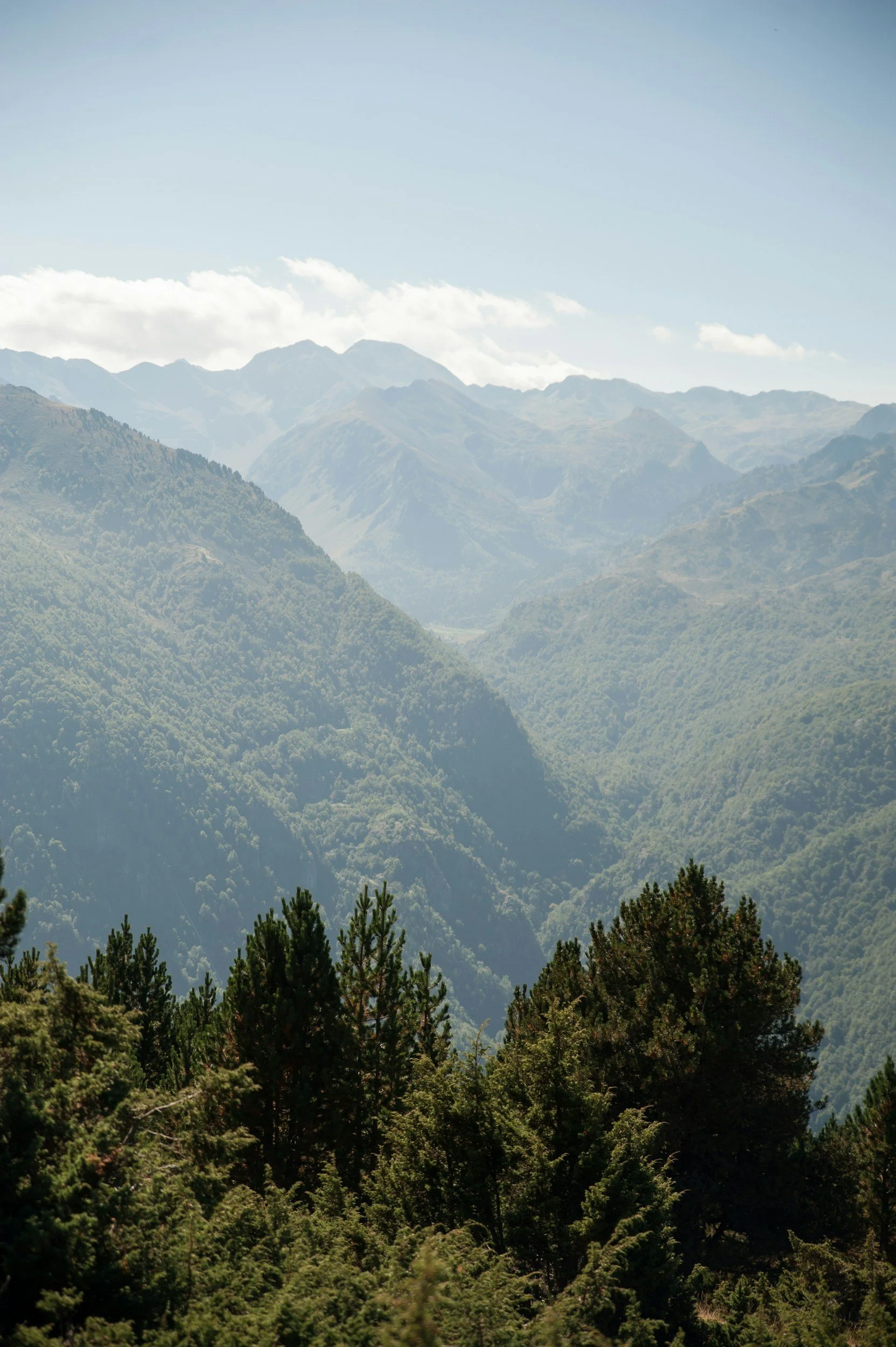 Paysage des montagnes Pyrénéennes avec des sapins et un ciel clair