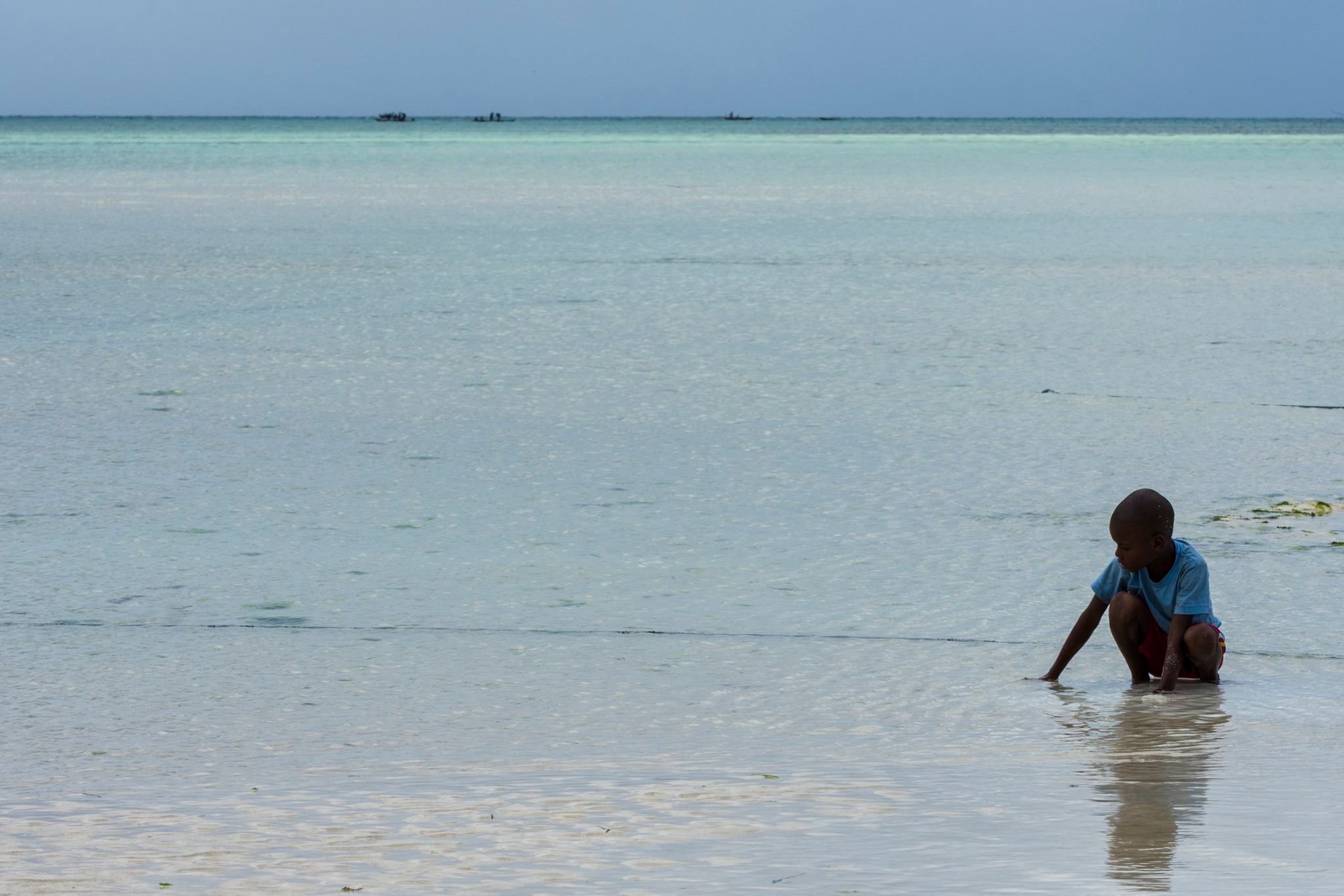 ילד קטן כורע במי טורקיז רדודים בזמן שפל על חוף זנזיבר