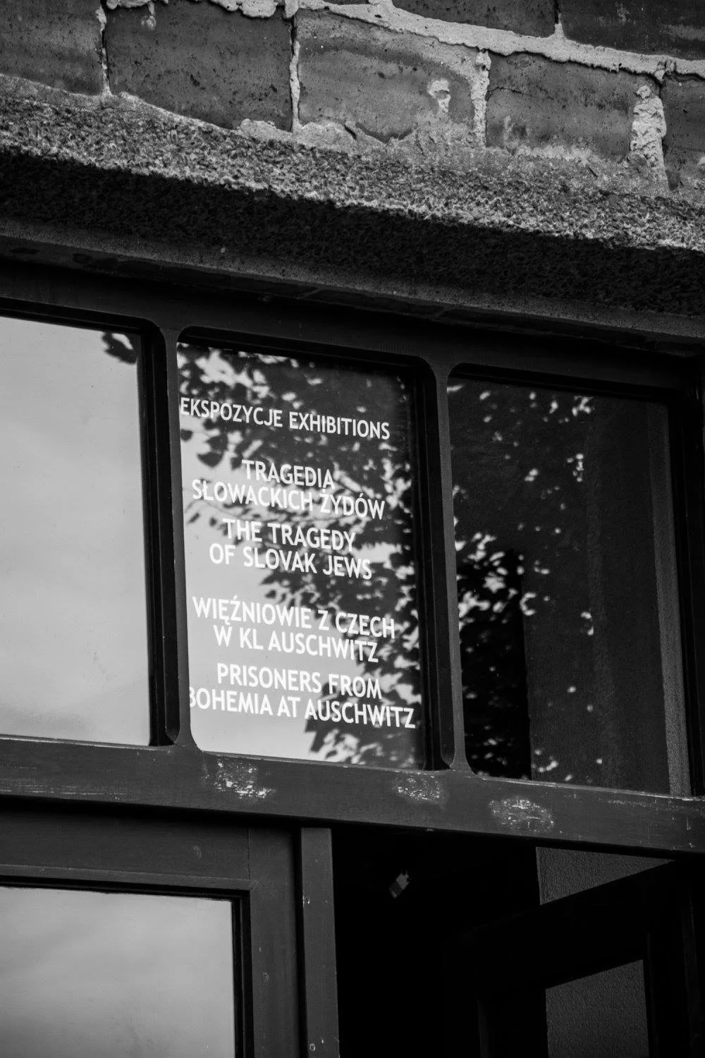 השתקפות חלון עם שלט על טרגדיית יהודי סלובקיה במוזיאון אושוויץ