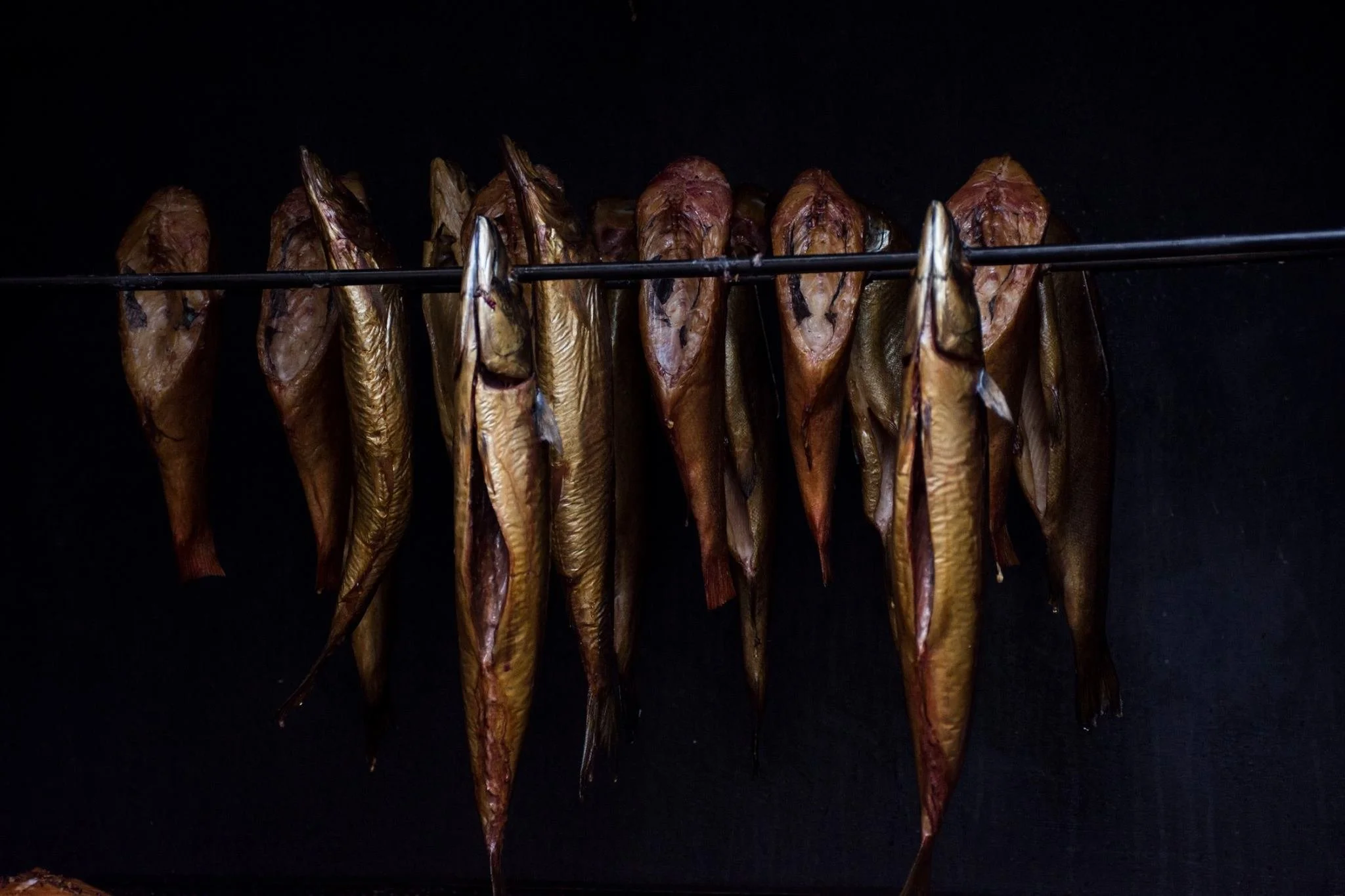 שורת דגים מעושנים תלויים על מתלה מול קיר כהה בברלין