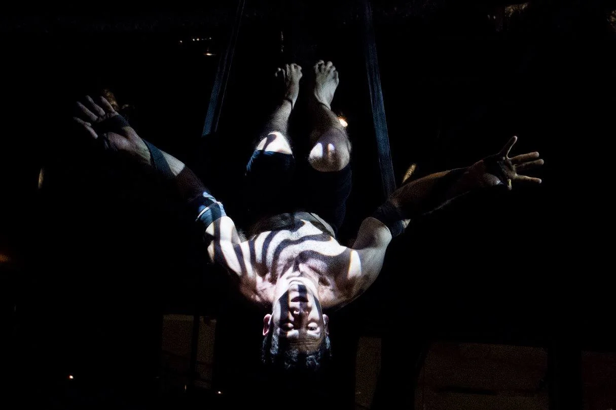 אקרובט תלוי הפוך כשאור מפוספס חוצה את גופו, הידיים פרושות לצדדים