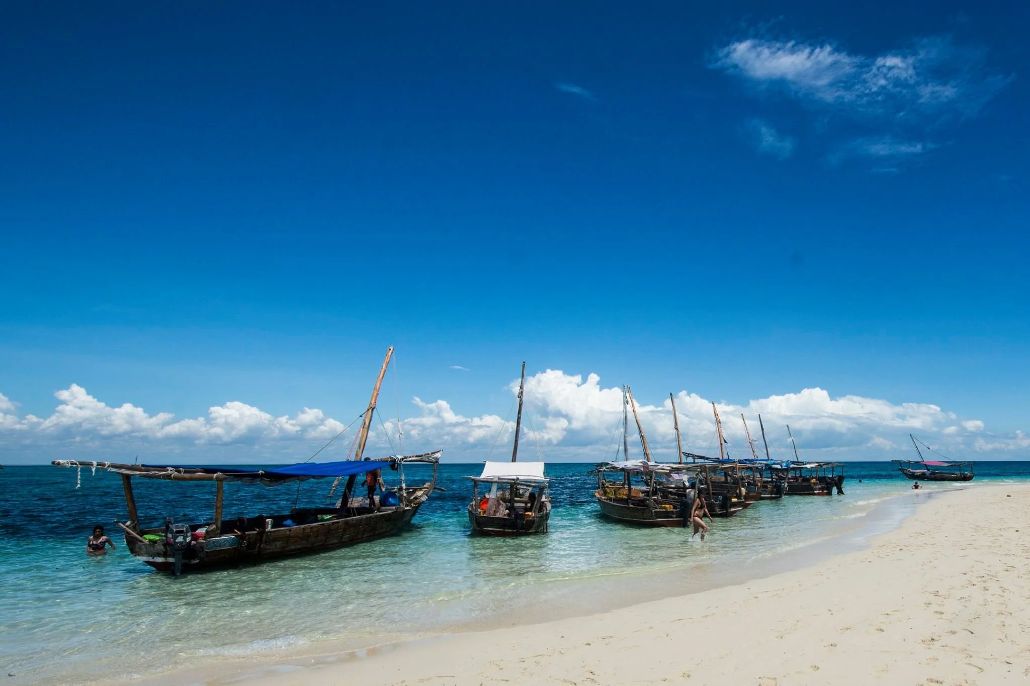 סירות דאו מסורתיות עוגנות במים טורקיז רדודים מול חוף לבן בזנזיבר