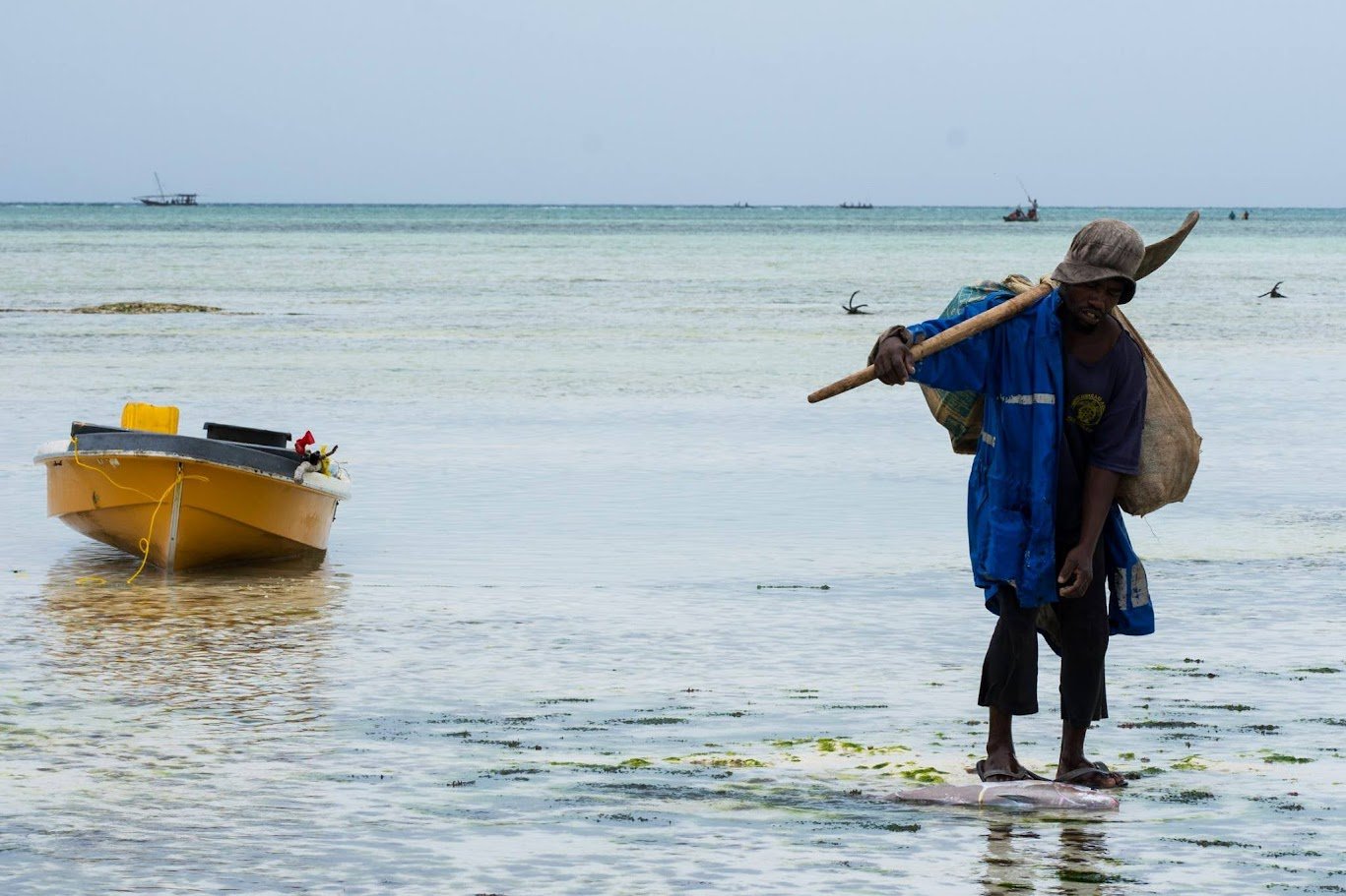  דייג בחוף צועד במים הרדודים עם חכה וסירה ברקע - זנזיבר
