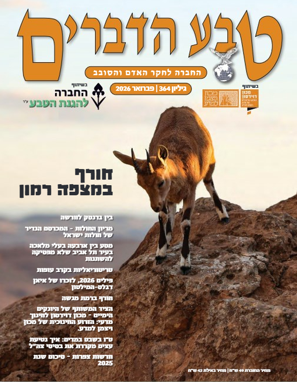 שער מגזין ״טבע הדברים״ – הכתבה ״תל אביב לא זוכרת – אבל יש מי שמזכיר״ (עמ' 42–47)