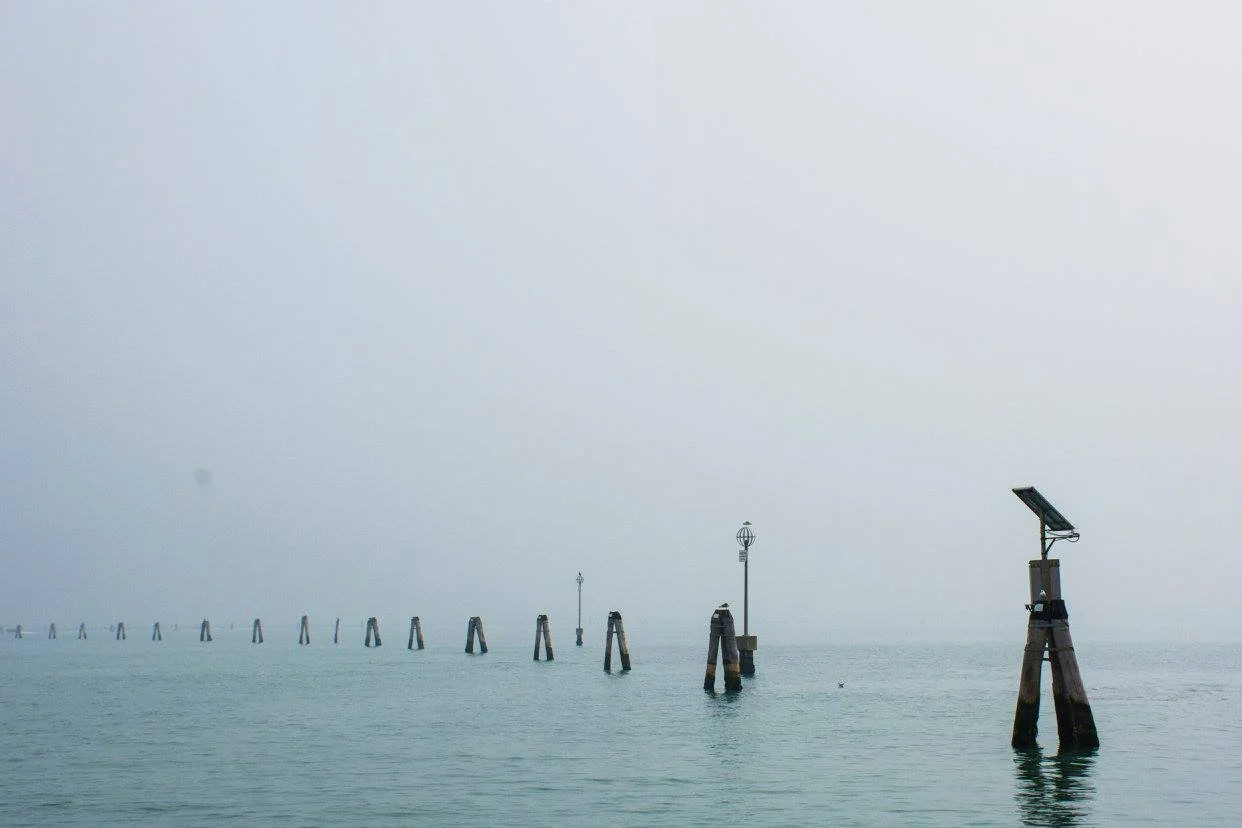 ציפור עומדת על עמוד עץ בתוך ערפל מעל פני ים – ונציה, איטליה