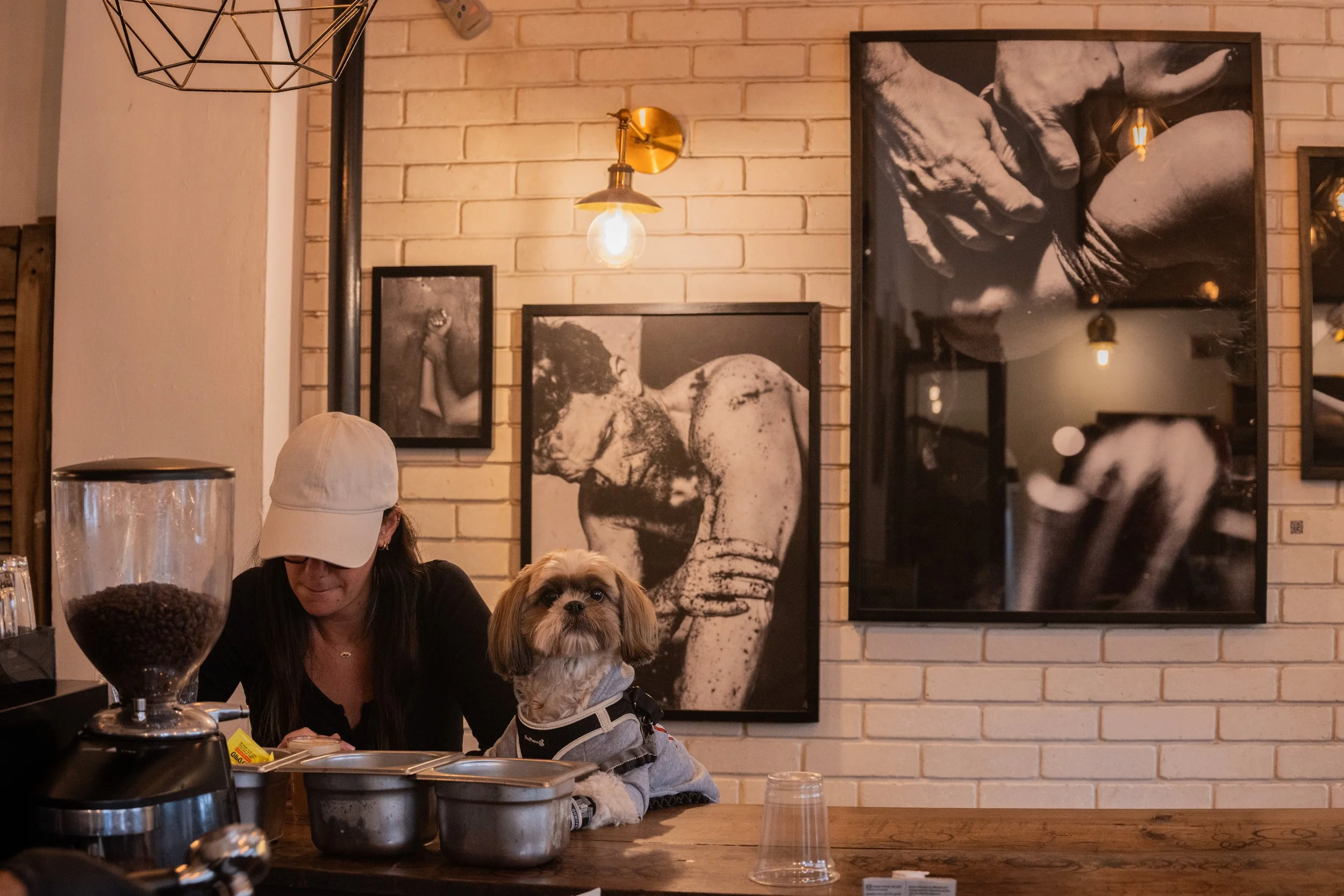 כלב ובעליו בבית קפה טיפוסי בתל אביב, יושבים יחד באווירה עירונית יומיומית.