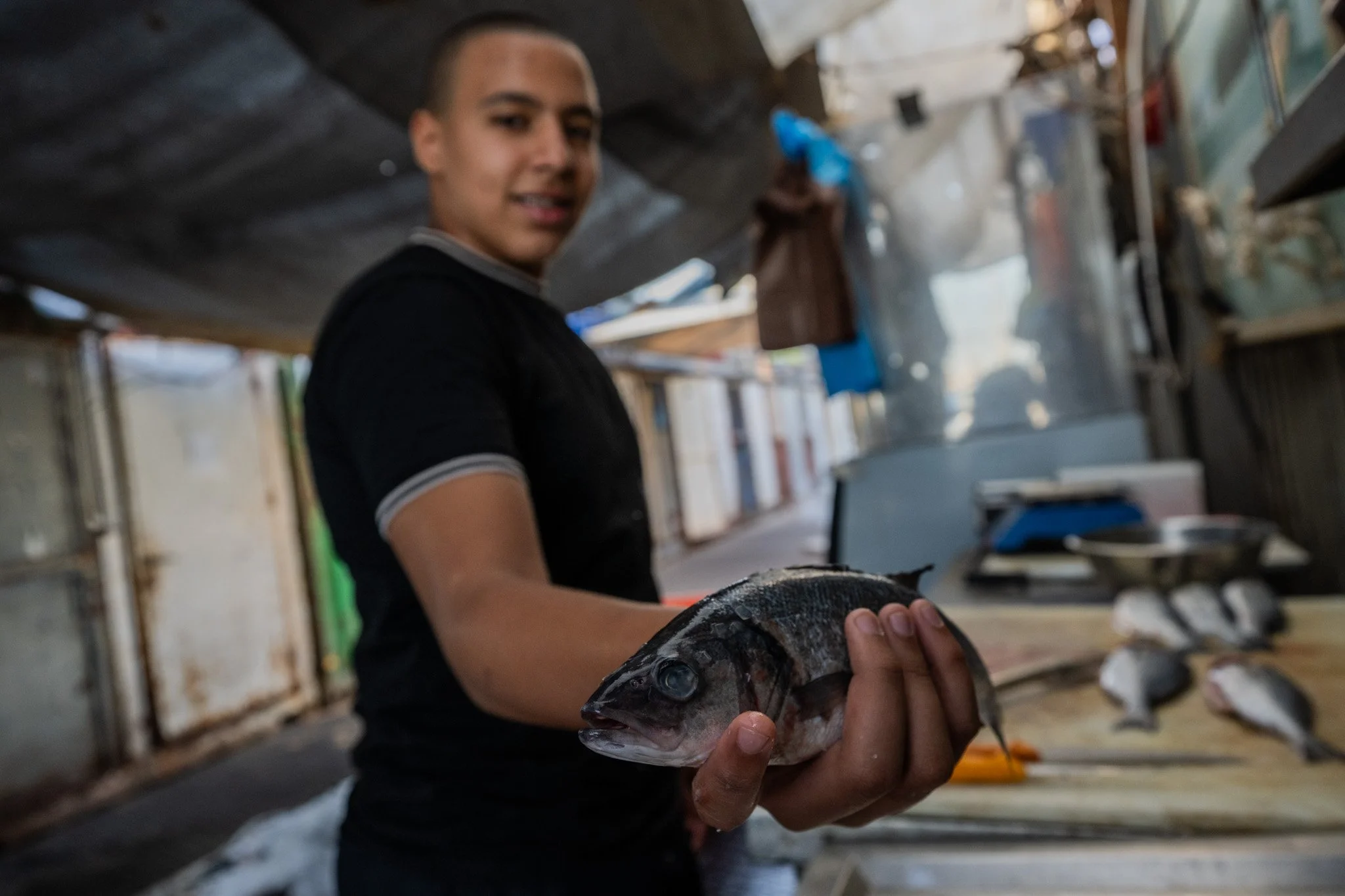 בשוק הריק, מוכר צעיר אחד מחזיק בגאווה הוכחה לכך שהים עדיין נדיב