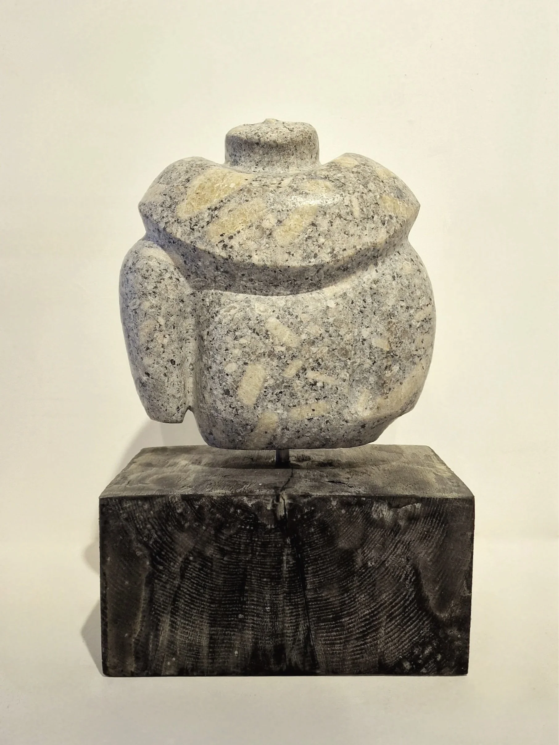 Figure No. 10