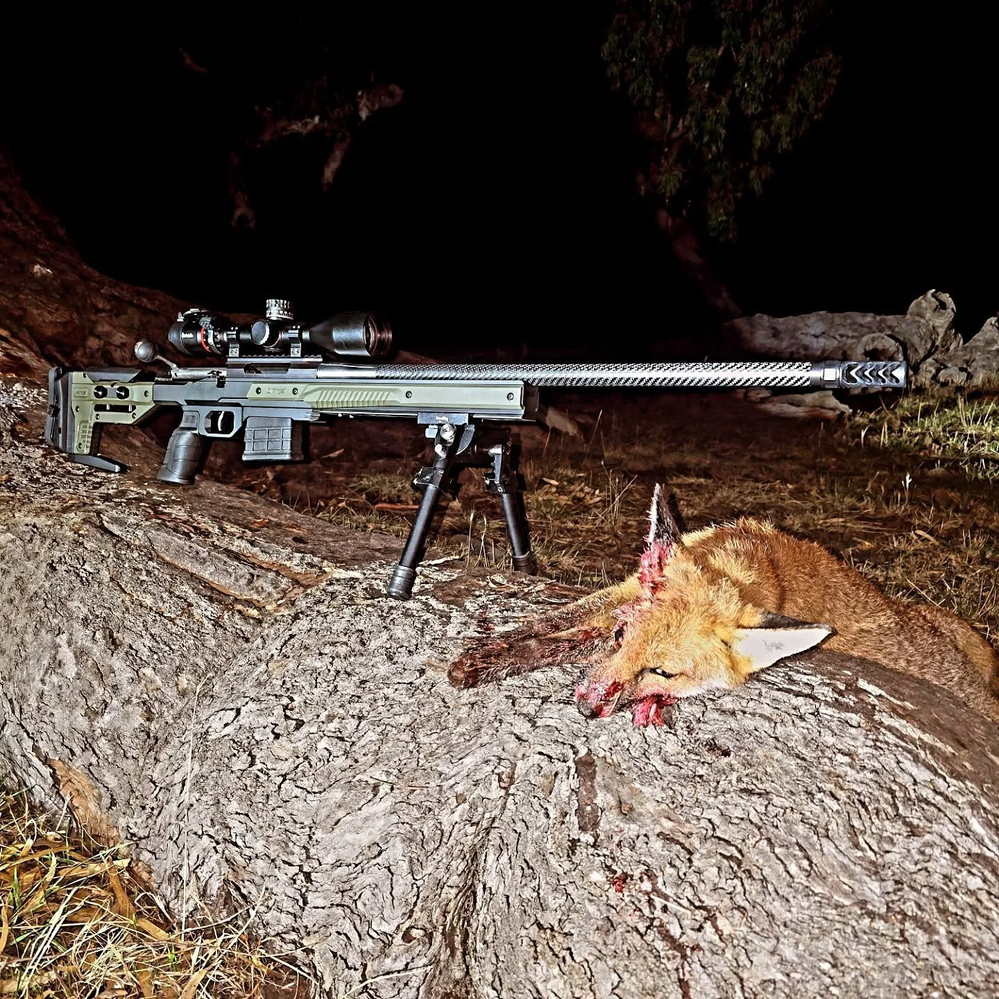 1 for the night  #pestcontrol #foxshooting #tikka #mdt #huntinglifestyle