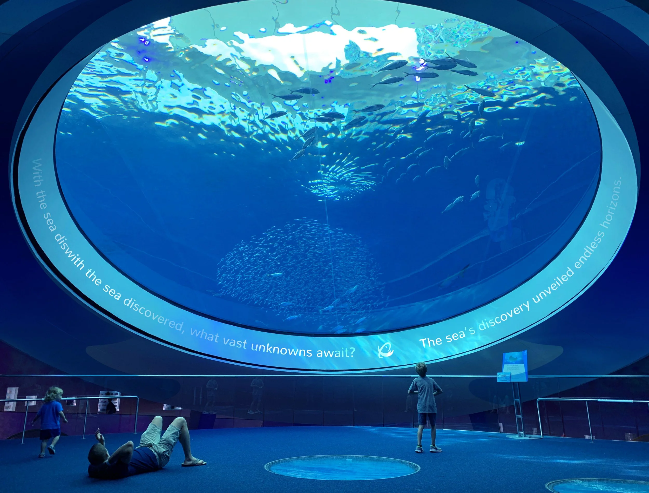 AWOAH- Aquarium Brand Identity