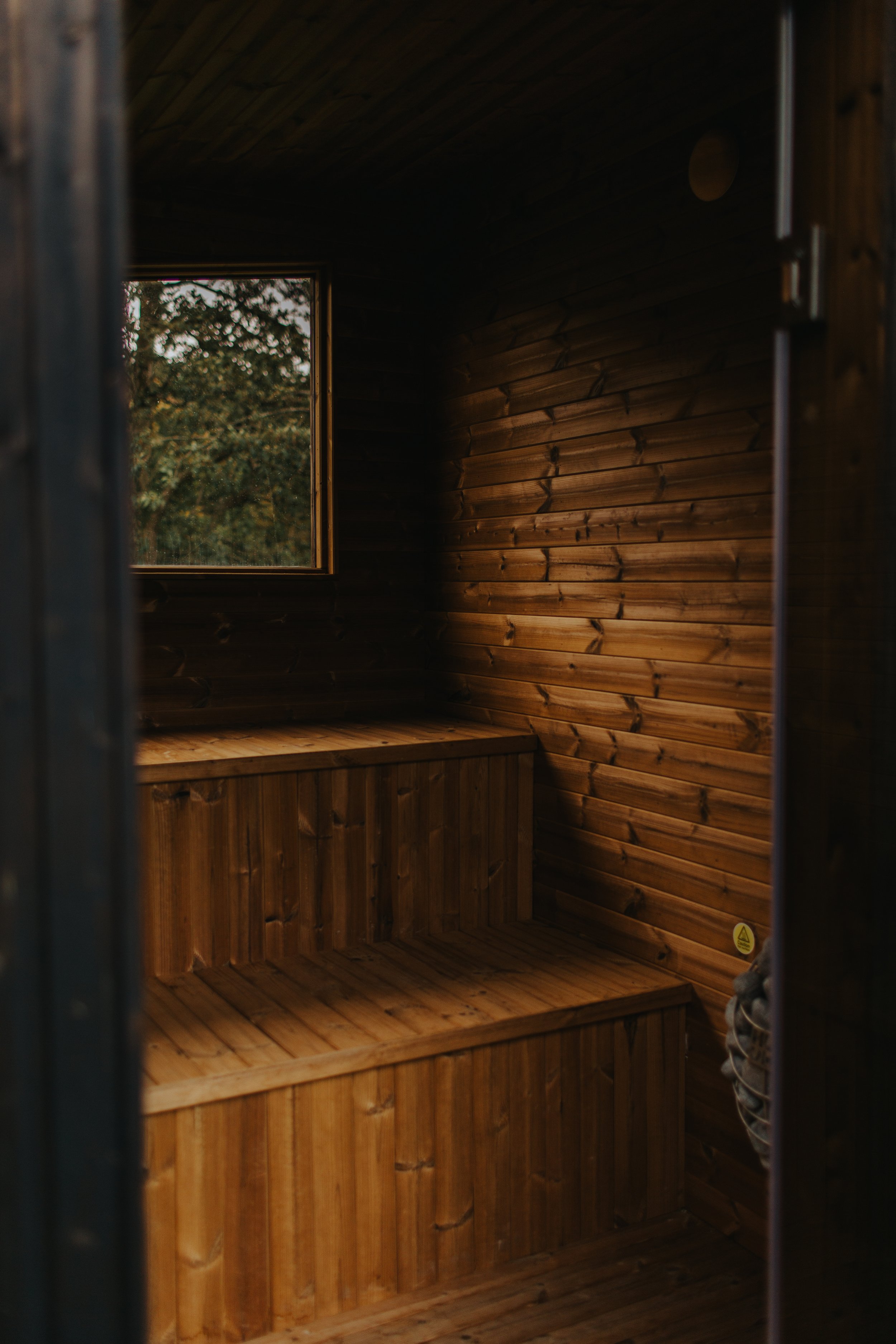 A small wooden room with a window showing trees outside, and wooden stairs leading up to a platform.