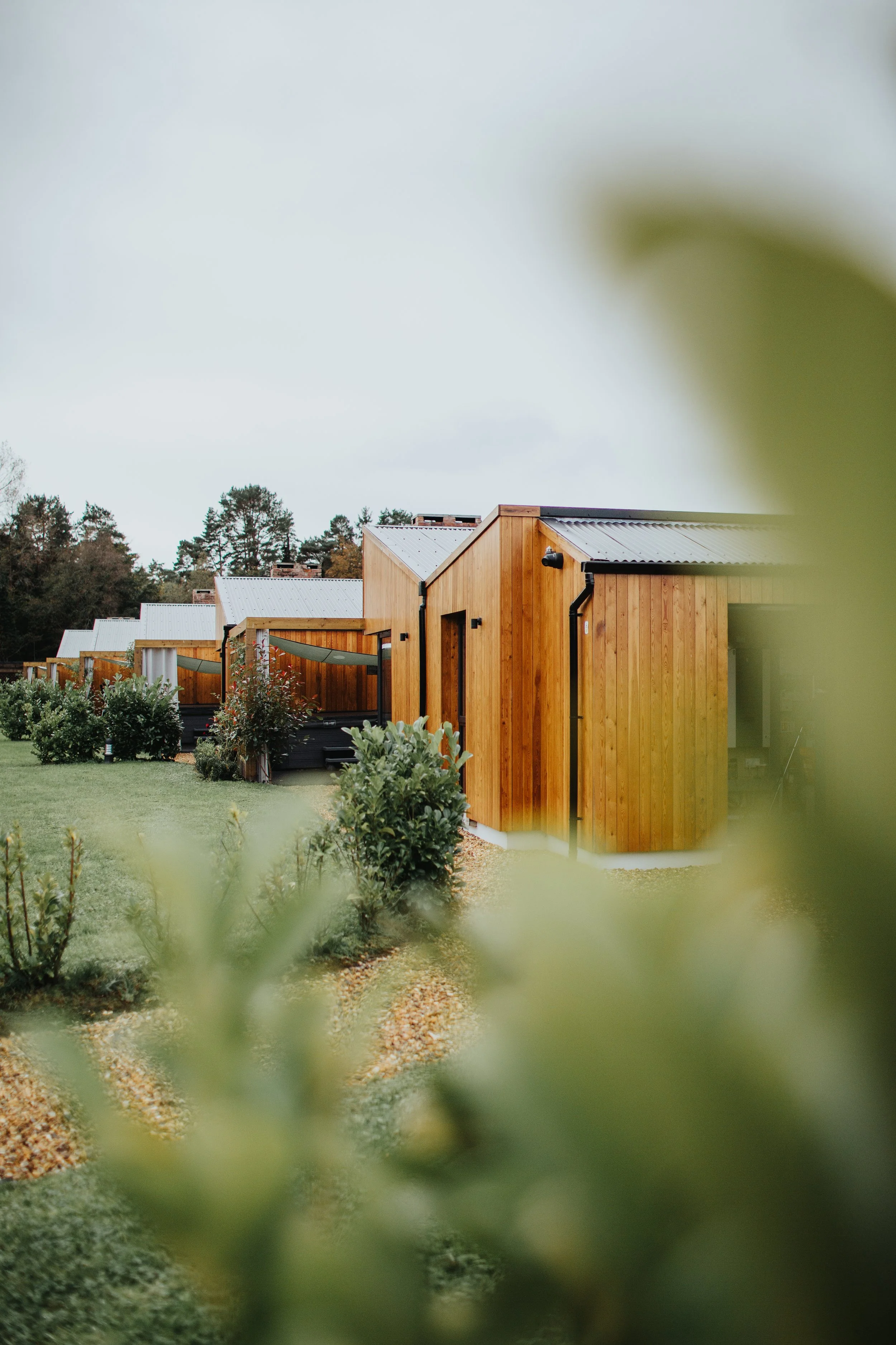 View of modern wooden cottages with metal roofs surrounded by greenery and bushes on a cloudy day.