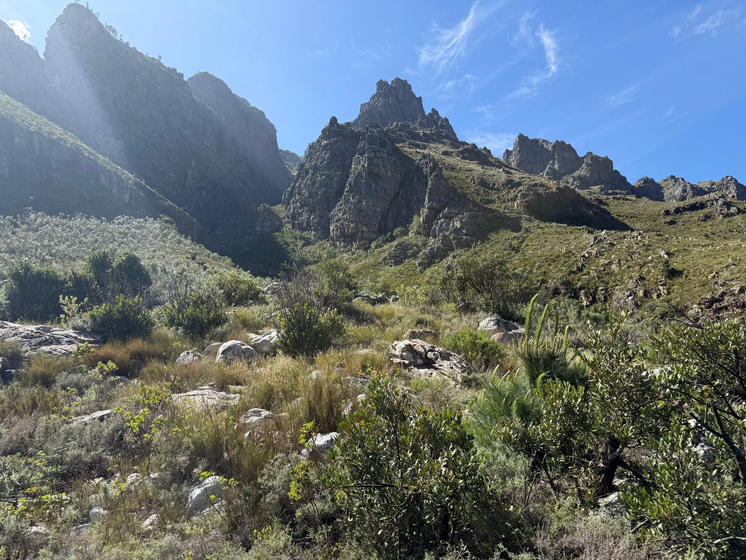 WhatsApp Image 2025-11-18 at 23.05.52.jpeg