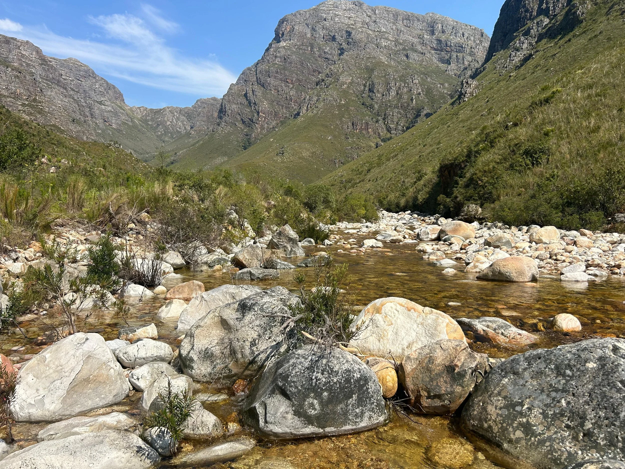 WhatsApp Image 2025-11-18 at 23.05.50 (2).jpeg