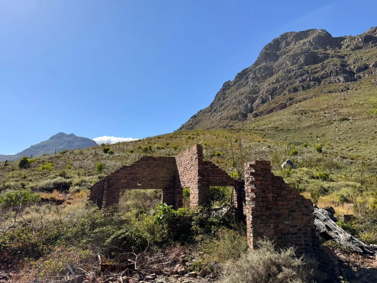 WhatsApp Image 2026-01-07 at 10.38.59 (2).jpeg