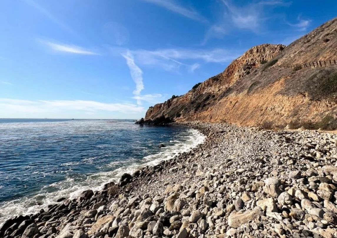 WhatsApp Image 2025-11-18 at 23.05.49.jpeg