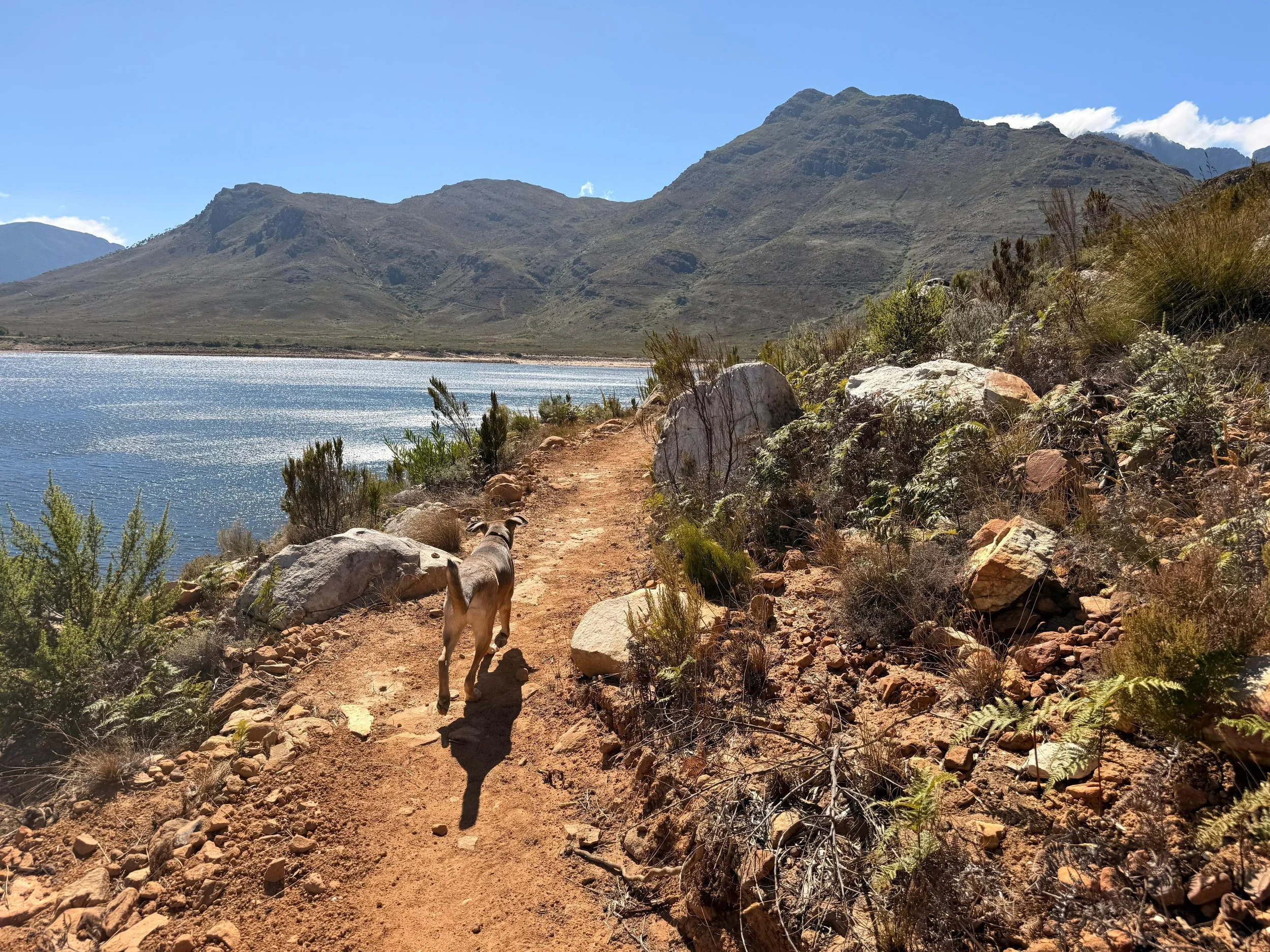 WhatsApp Image 2026-01-07 at 10.38.59.jpeg