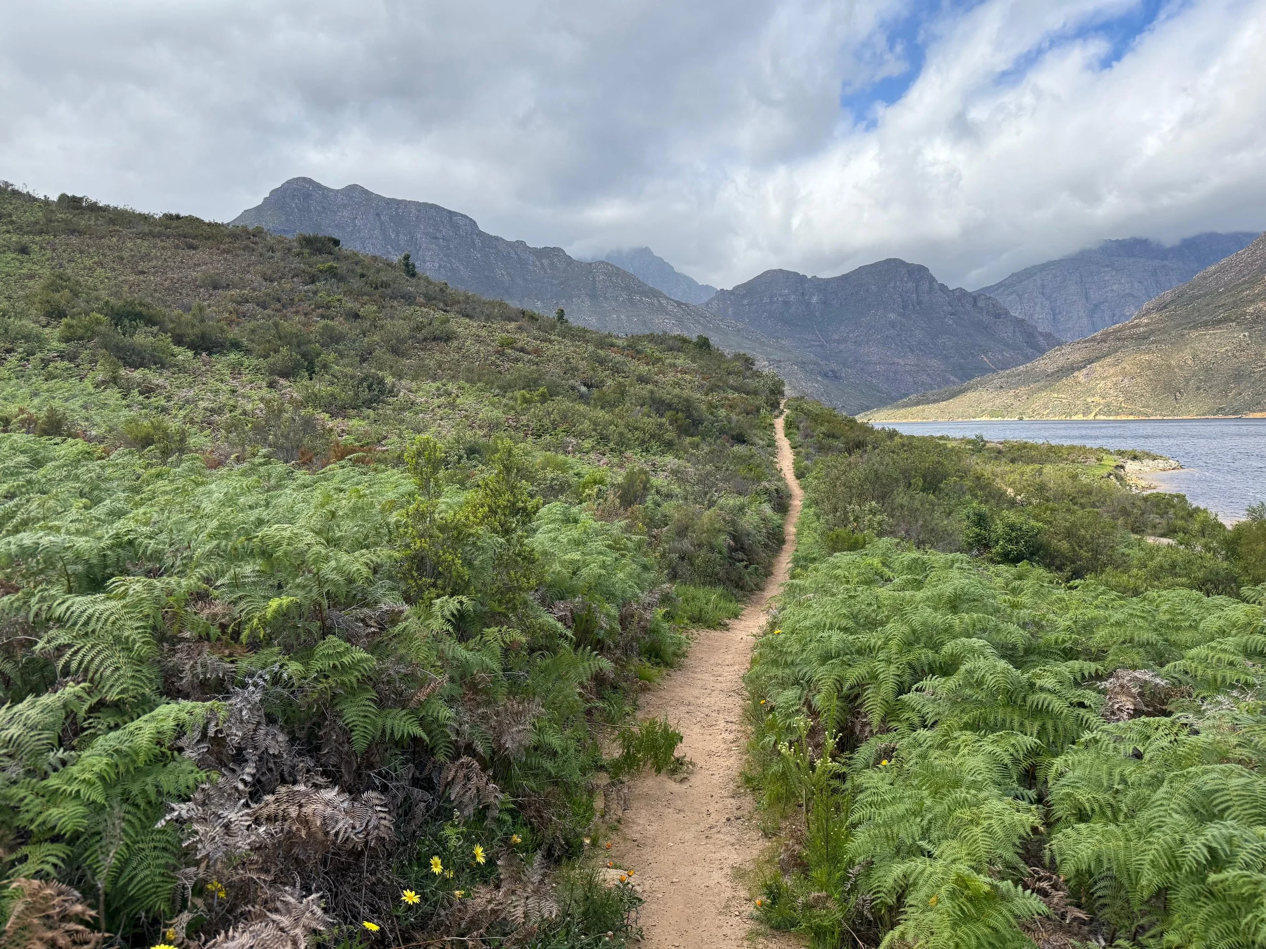 WhatsApp Image 2025-11-18 at 22.59.46 (1).jpeg