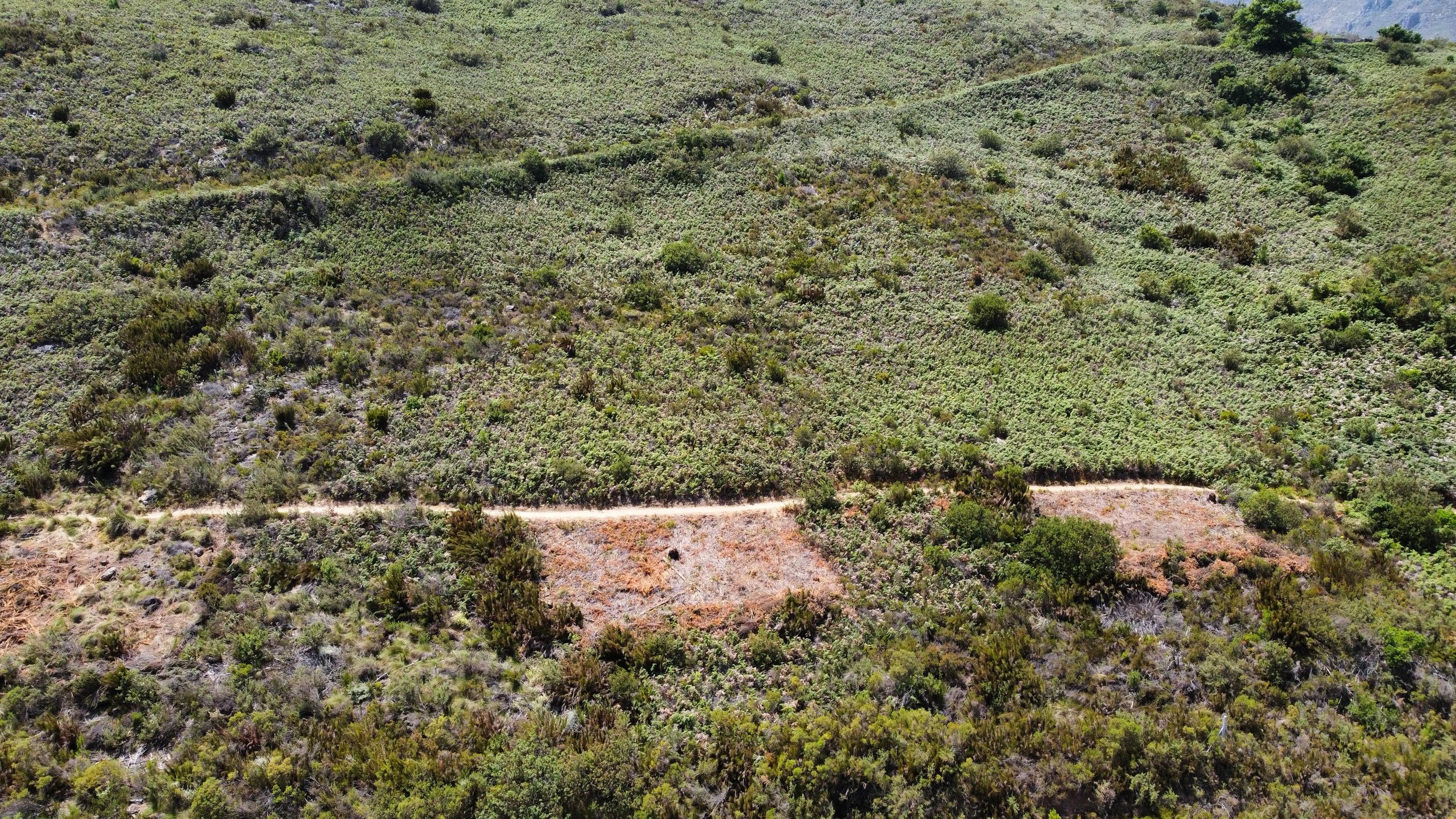 WhatsApp Image 2025-11-14 at 16.07.55 (2).jpeg