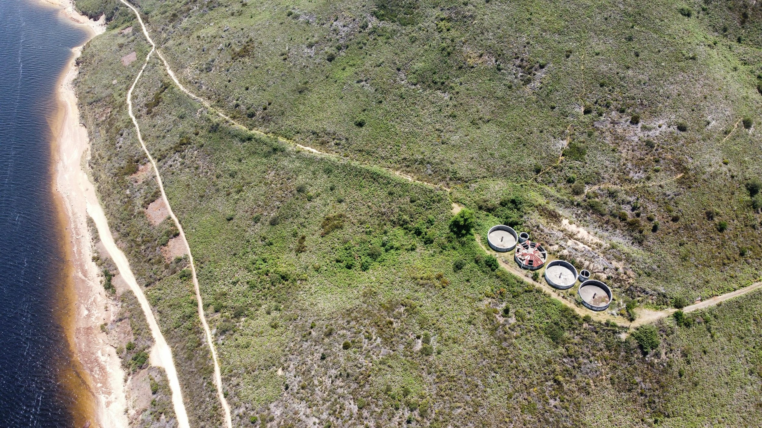 WhatsApp Image 2025-11-14 at 16.07.57.jpeg