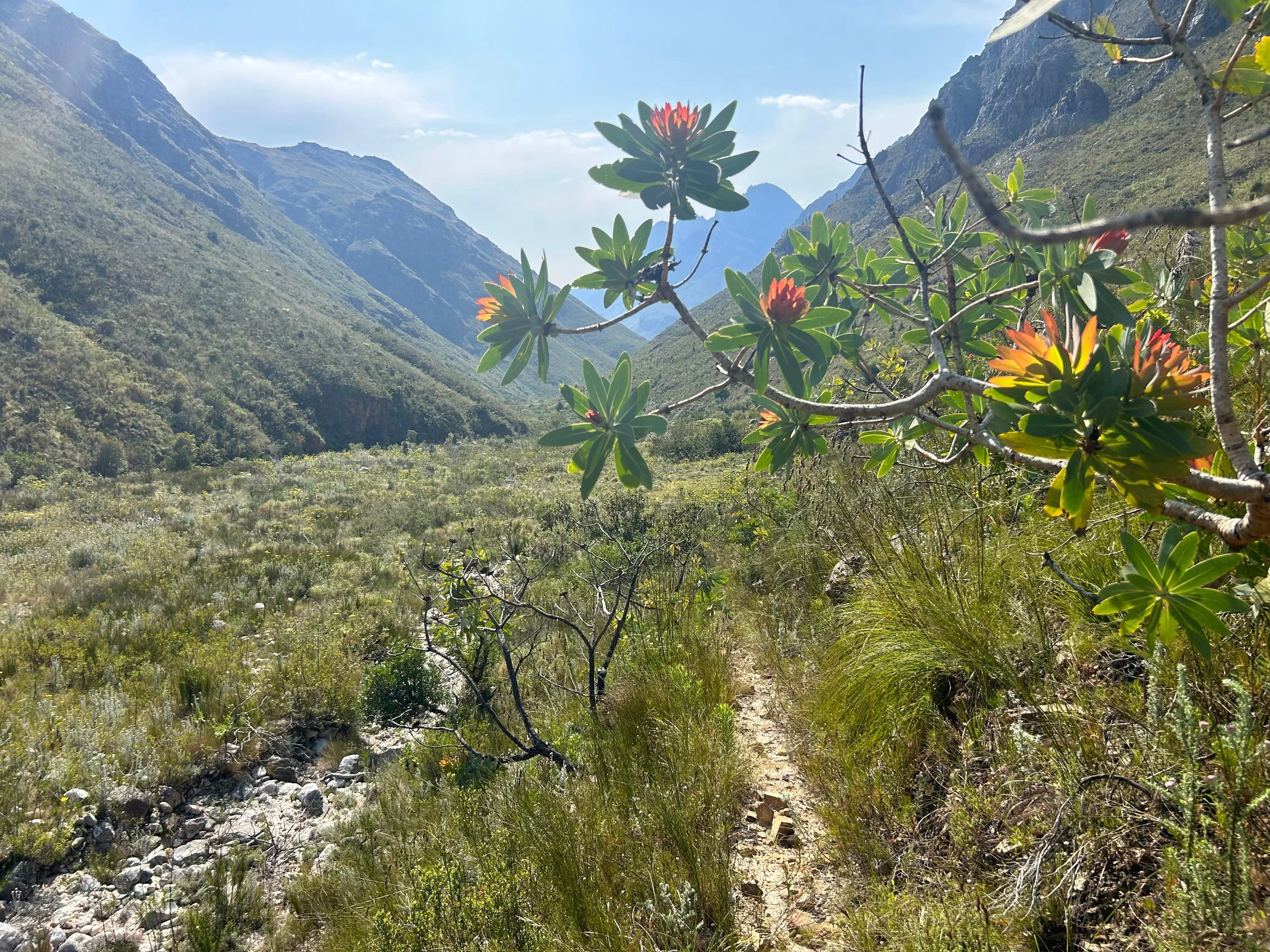 WhatsApp Image 2025-11-18 at 23.05.50 (1).jpeg