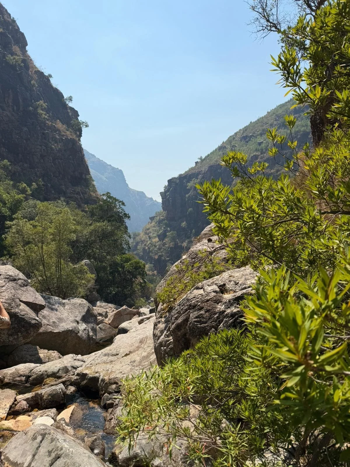 Rocky canyon landscape with green trees and shrubs in foreground, rugged mountains in the background, and a clear blue sky.