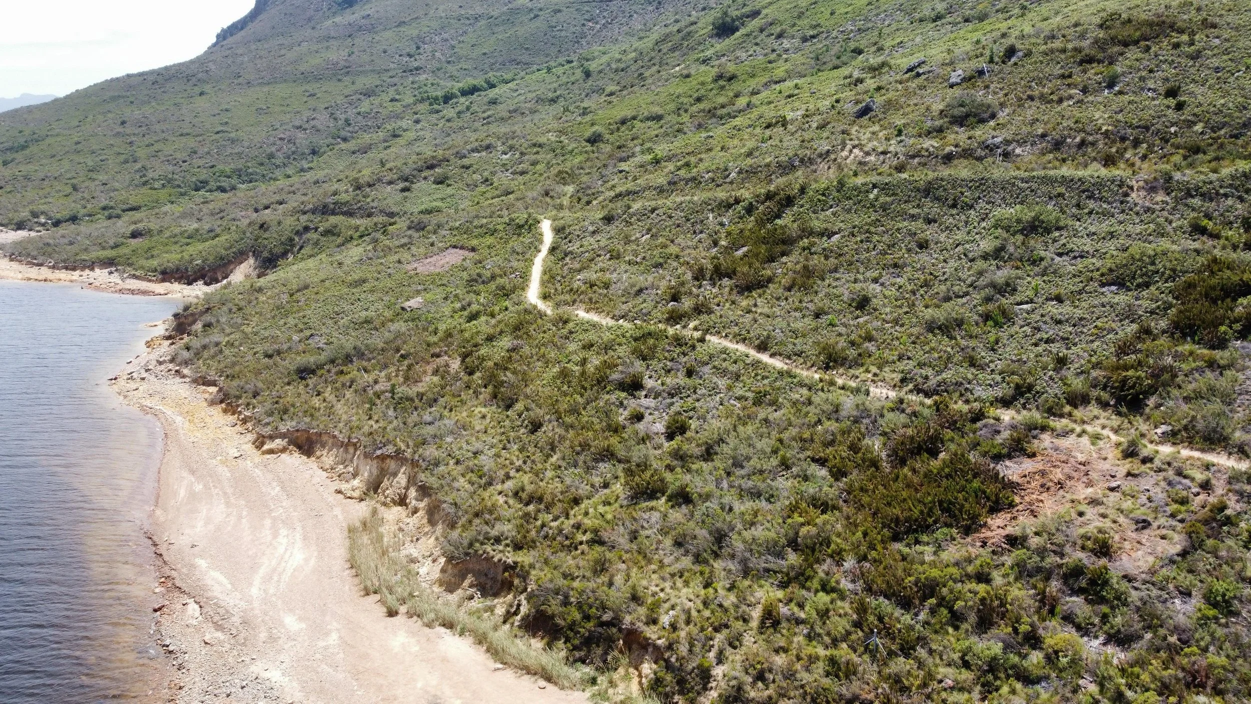 WhatsApp Image 2025-11-14 at 16.07.56 (3).jpeg