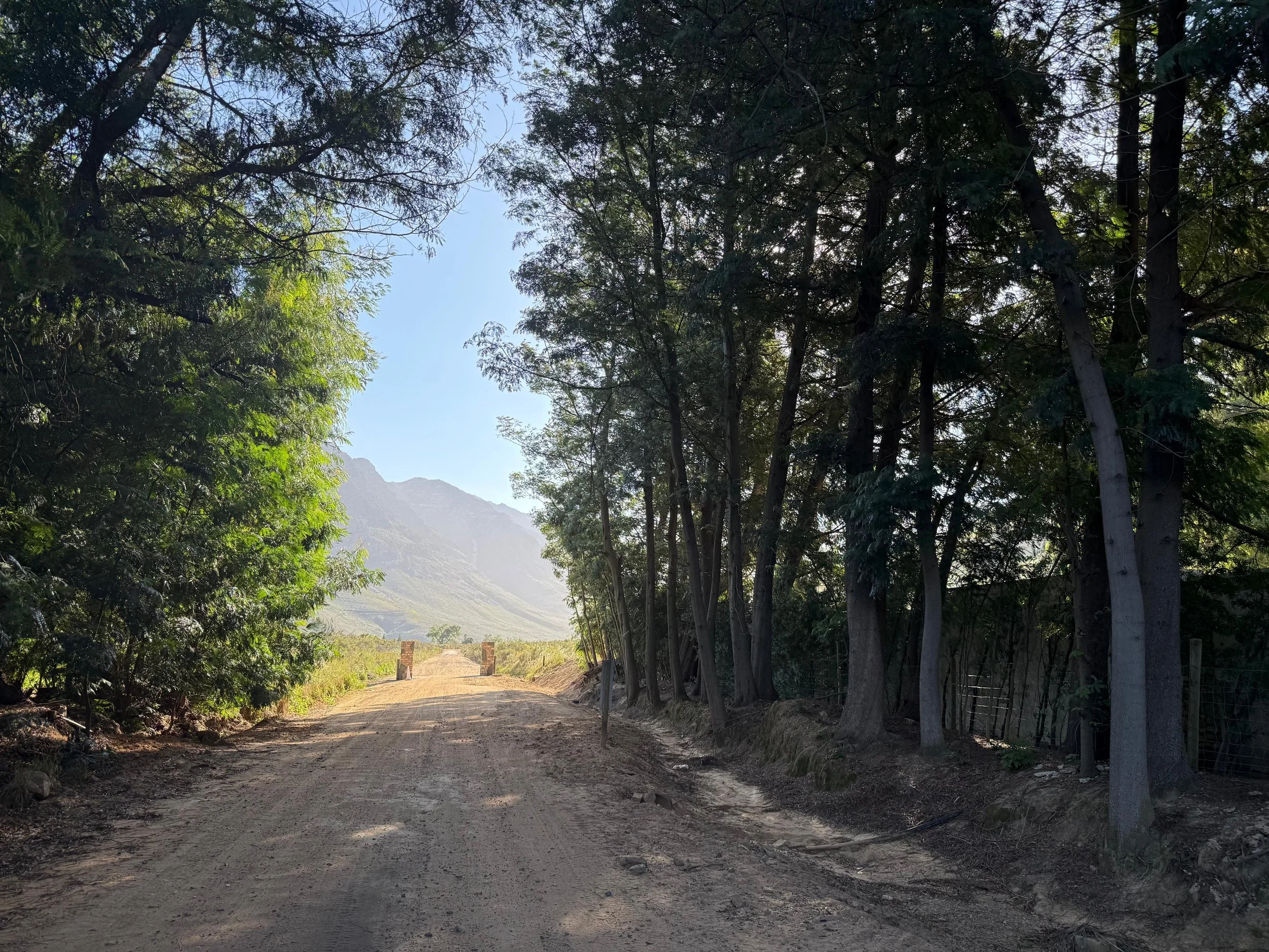 WhatsApp Image 2025-11-18 at 22.59.46 (15).jpeg