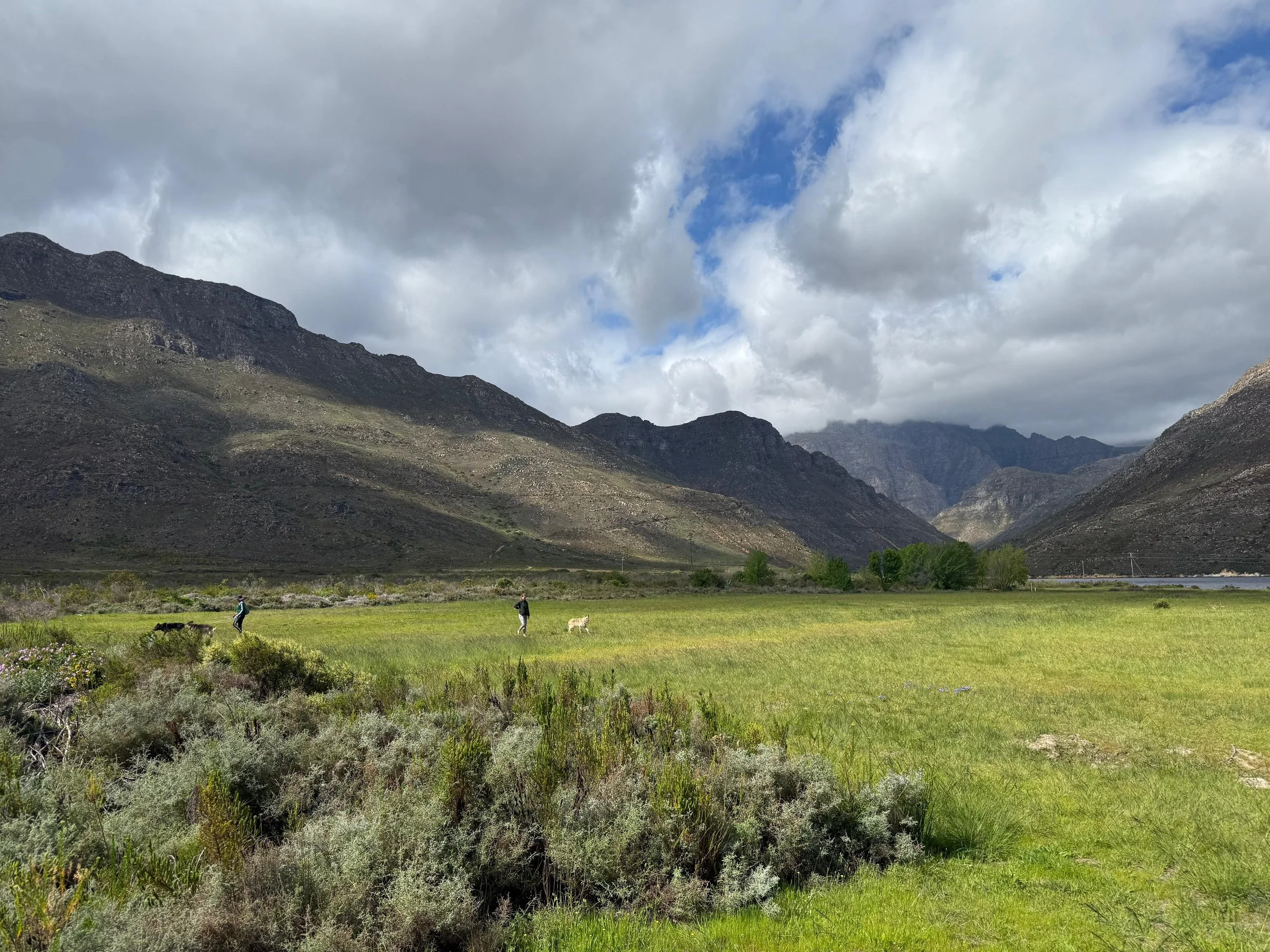 WhatsApp Image 2025-11-18 at 22.59.46.jpeg