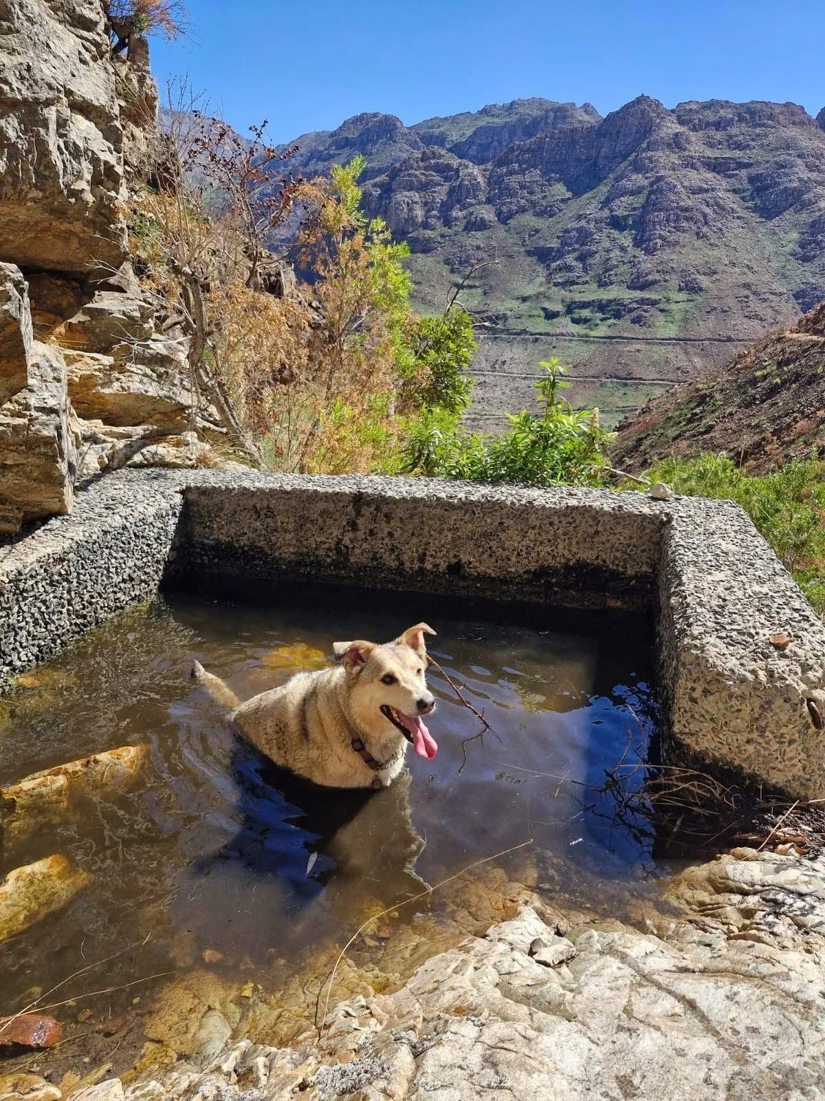 WhatsApp Image 2026-06-22 at 12.43.31 (42).jpeg