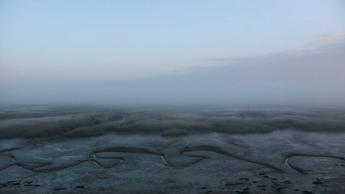 The Estuary – Medway Swale Estuary Partnership