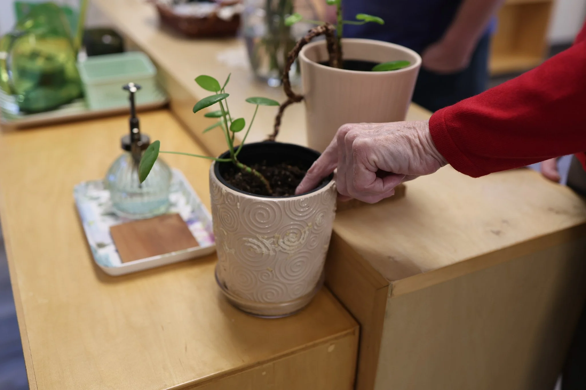Montessori for Aging and Dementia training care of plants