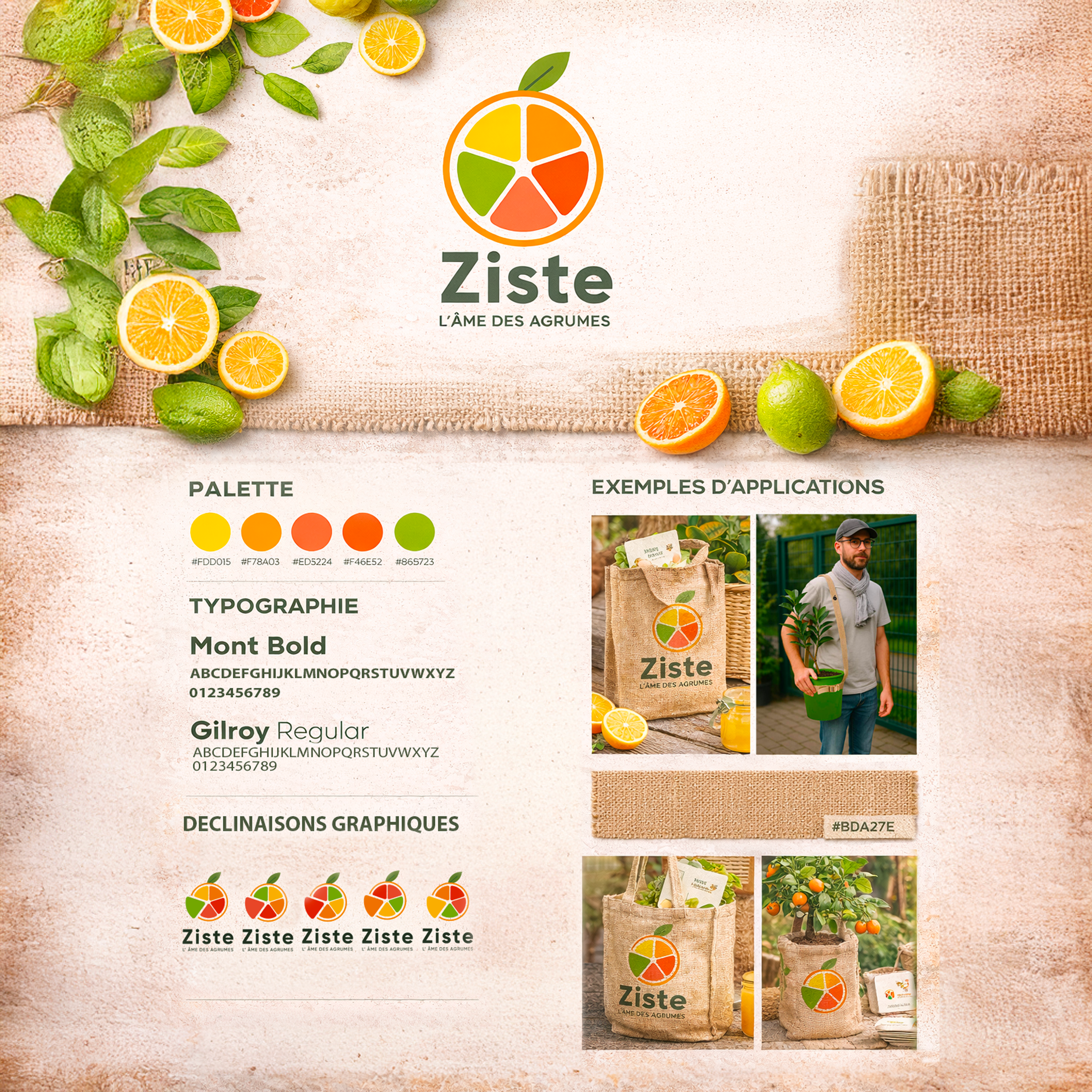 Formule Business - Direction la lune