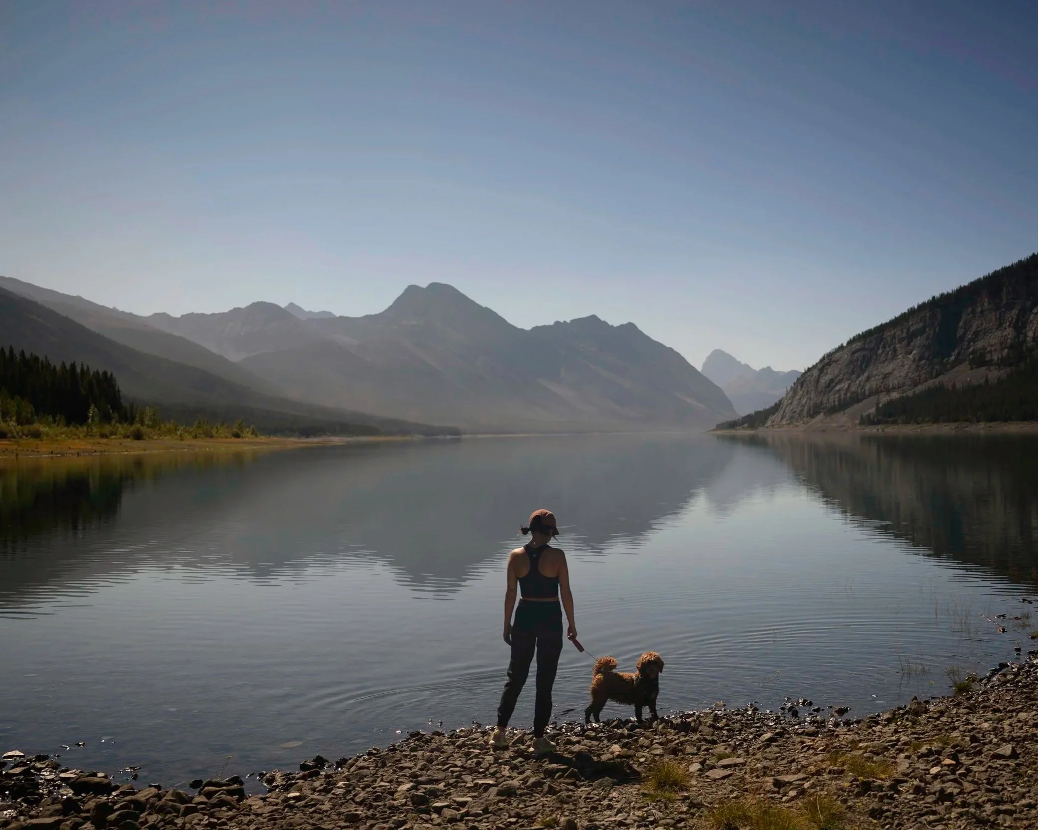 A person standing on a rocky shore holding a dog leash with a dog, overlooking a calm lake surrounded by mountains under a clear sky.