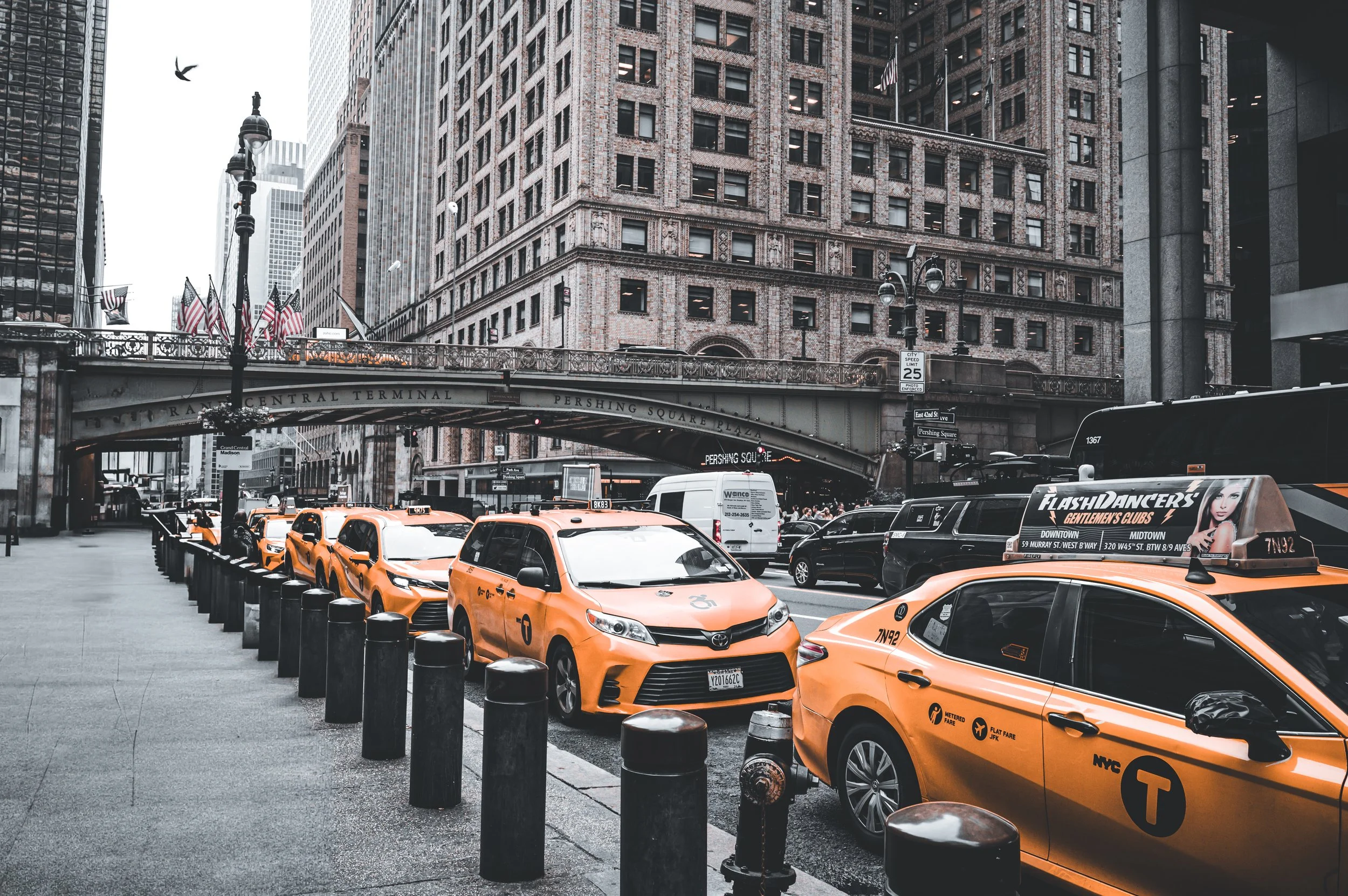 NYC-2025-622644.jpg
