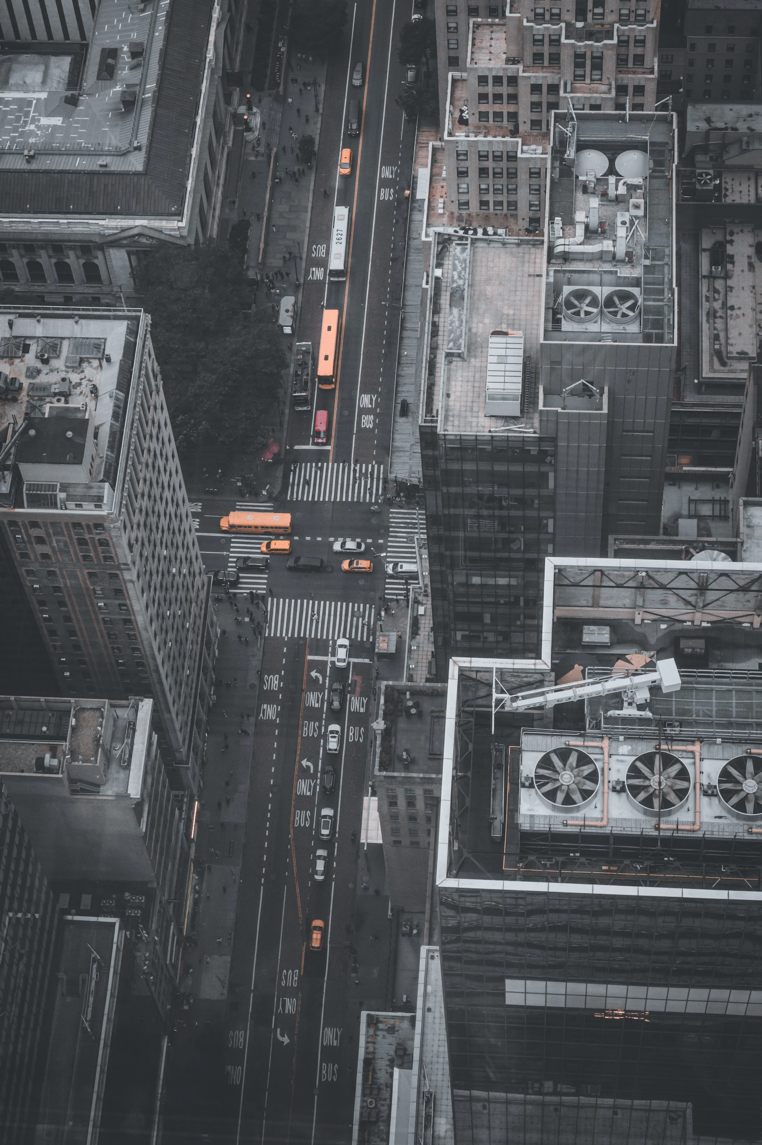 NYC-2025-622568.jpg